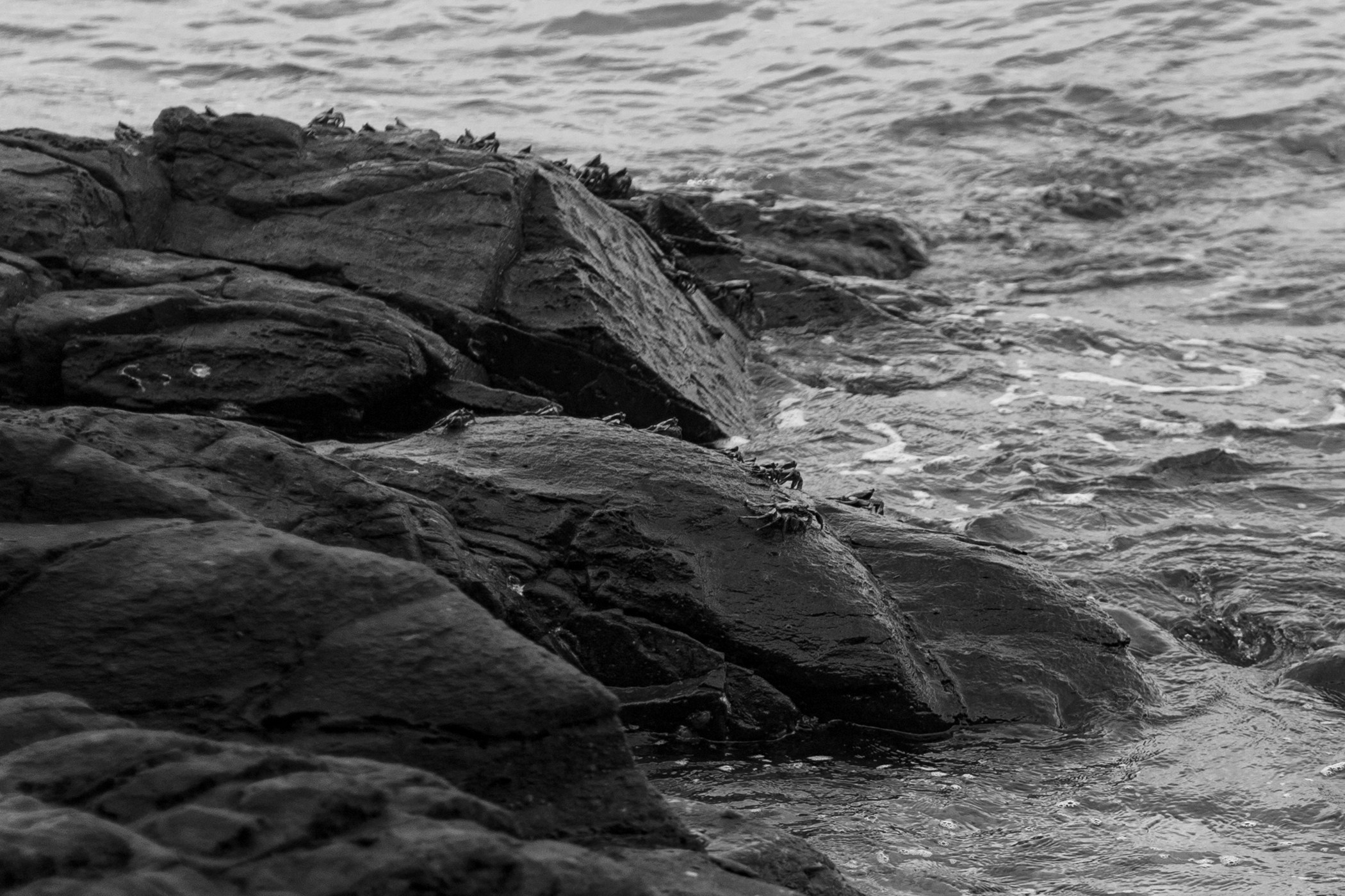 Фотосессии на Пхукете — солнце, море