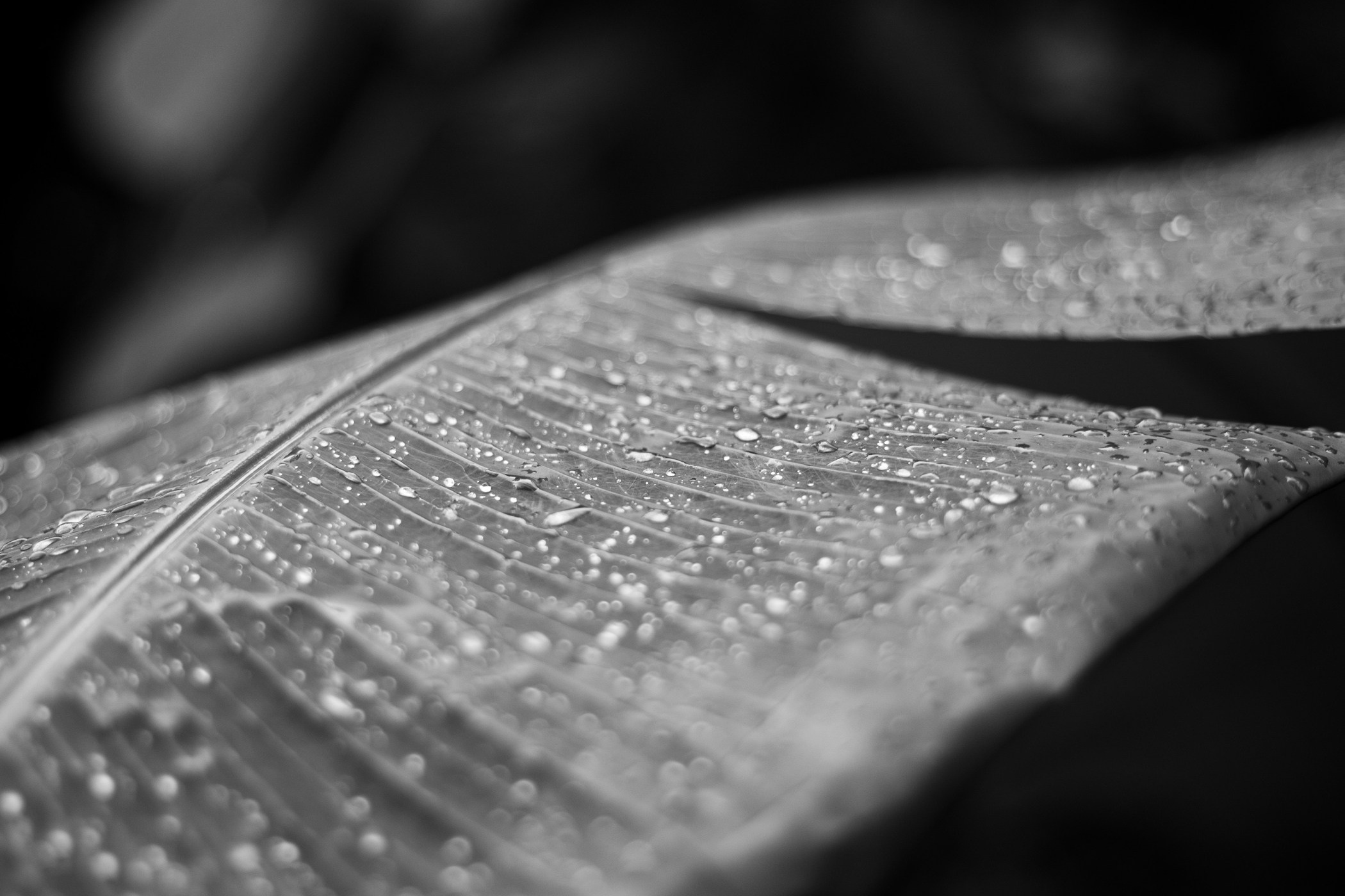 Фотосессии на Пхукете — солнце, море