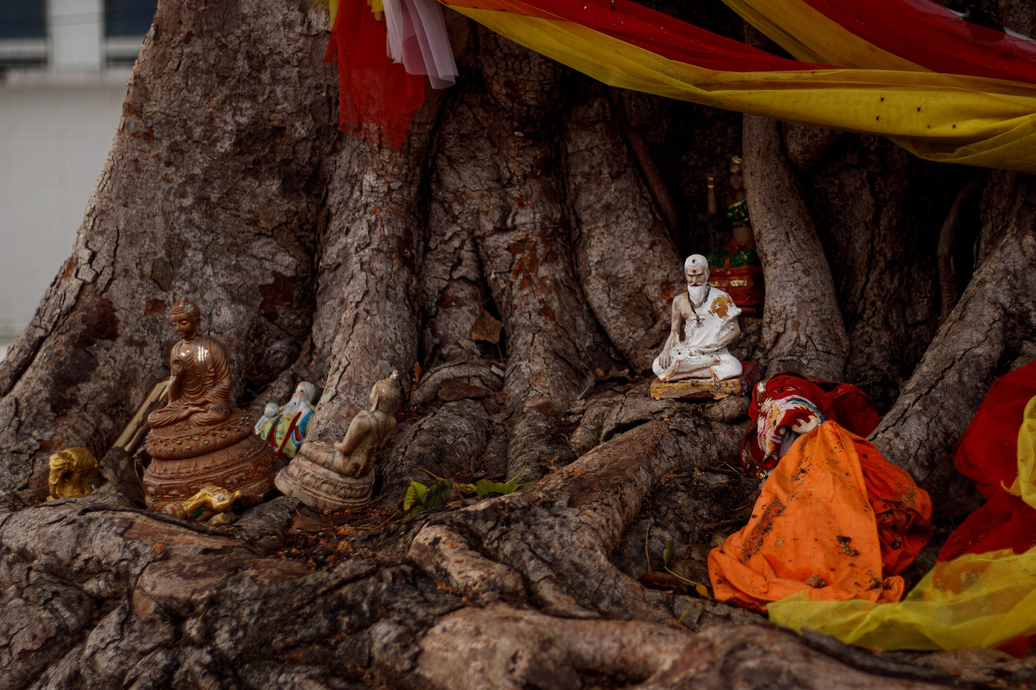 Фотосессии на Пхукете — солнце, море