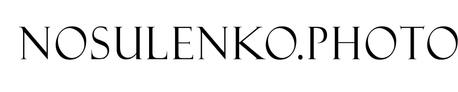 nosulenko.wfolio.pro