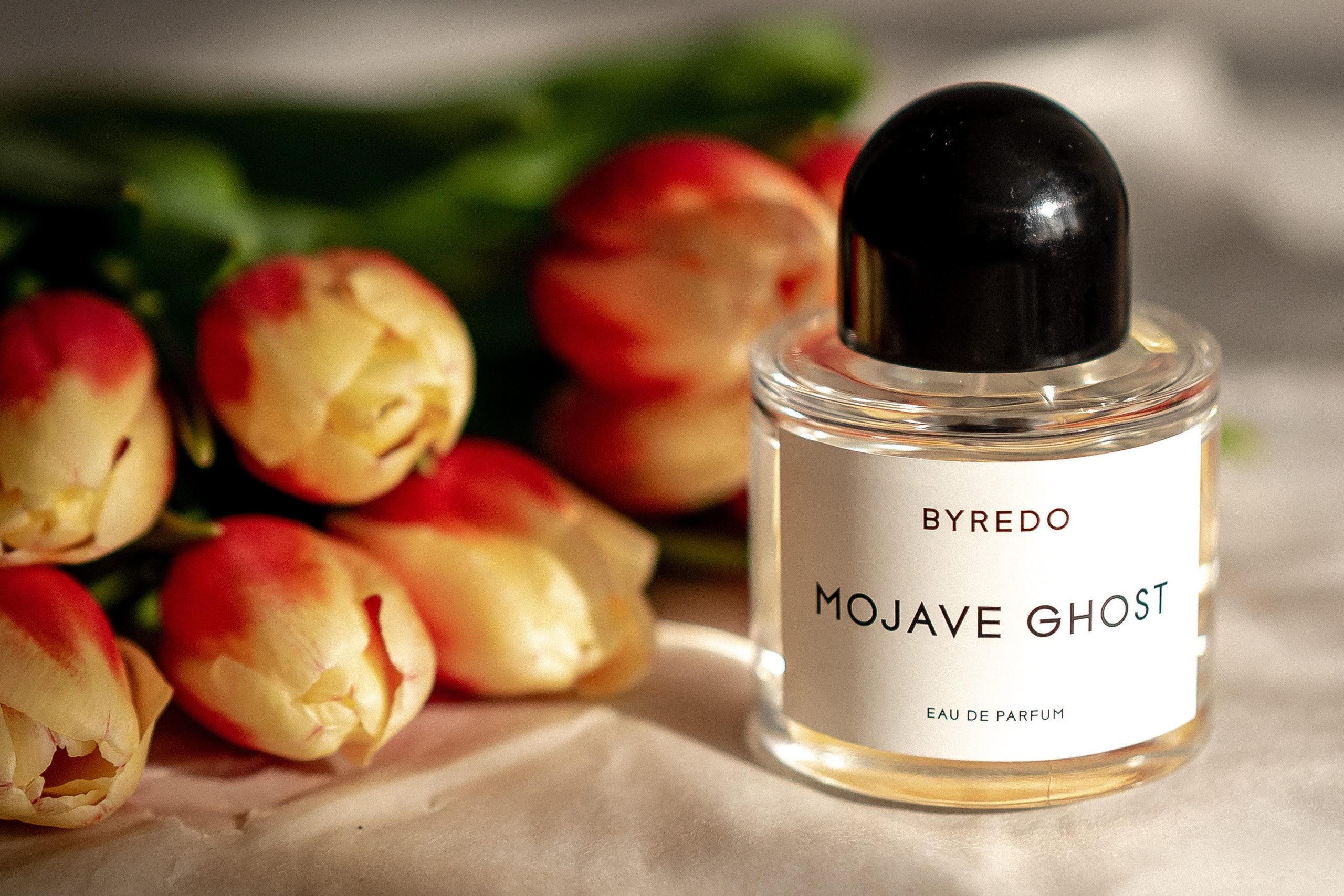 Семейный и контент фотограф в Красноярске Власова Екатерина