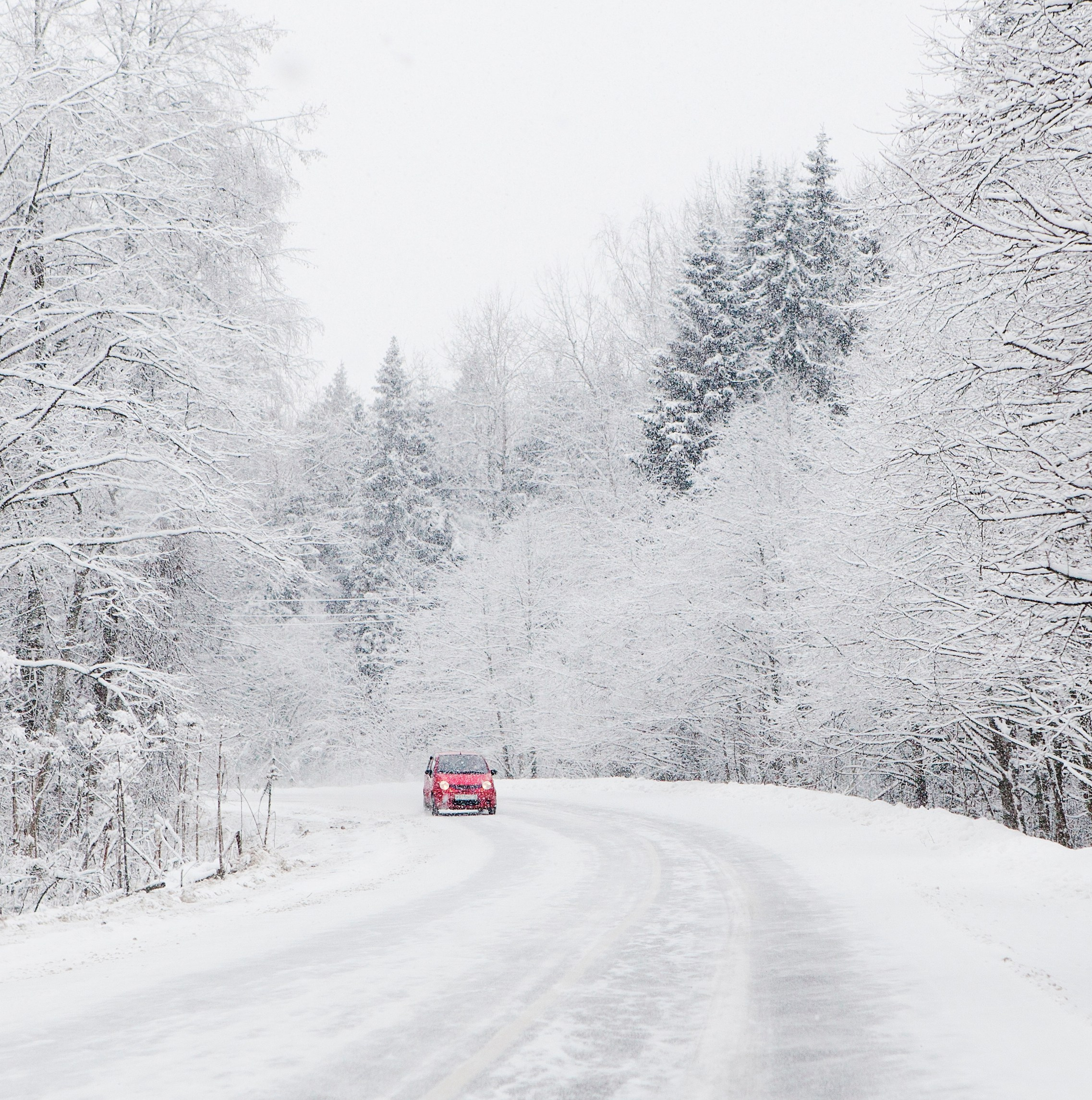 выставка 2025, выставка фотографии, выставка 2026, выставка зимней фотографии, выставка москва, фотовыставка