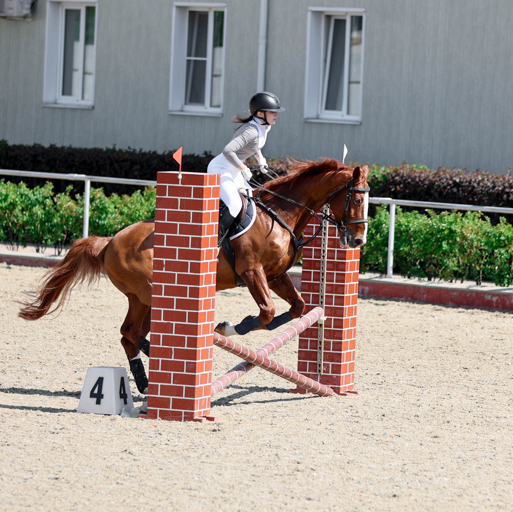 КСК КОНКОРД 27.07. Фотограф Баринова Полина