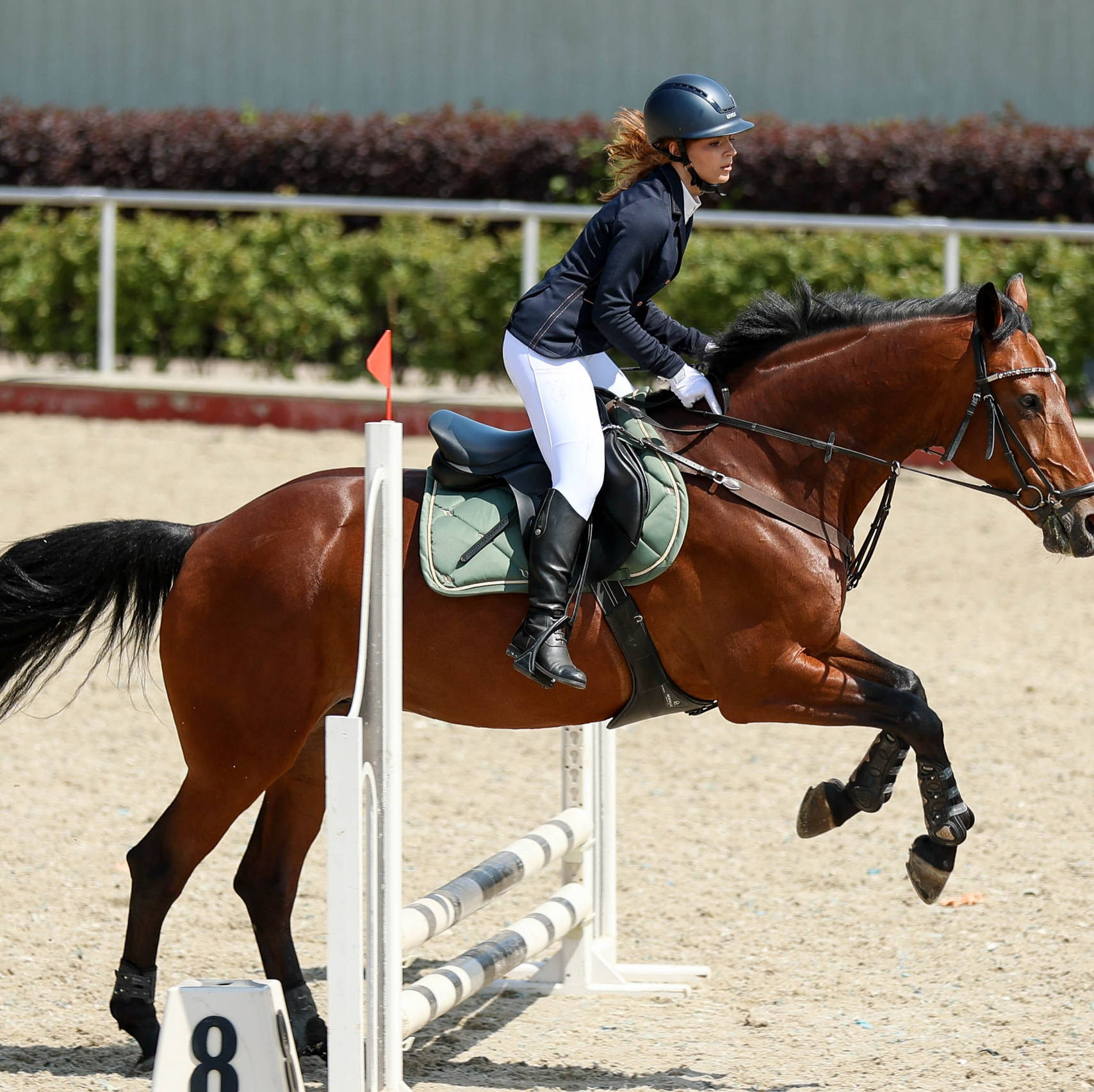 КСК КОНКОРД 29.06. Фотограф Баринова Полина