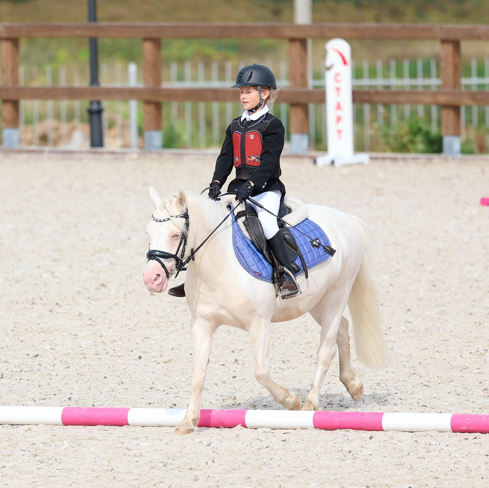 КСК PRIMO POSTO 09.08. Фотограф Баринова Полина