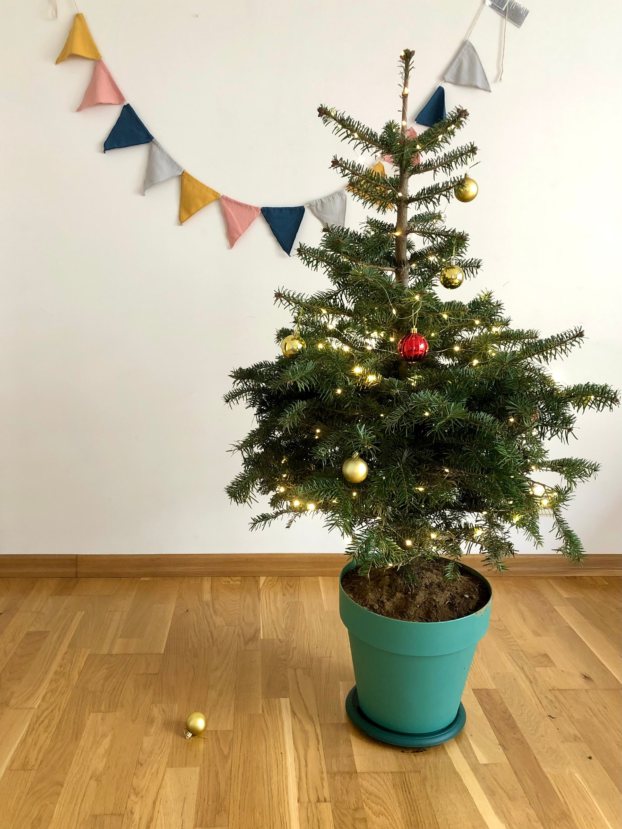 Предновогодний марафон «Декабрь без спешки». Позавтракаем? Настя Муратова контент фотограф, фуд стилист, Москва