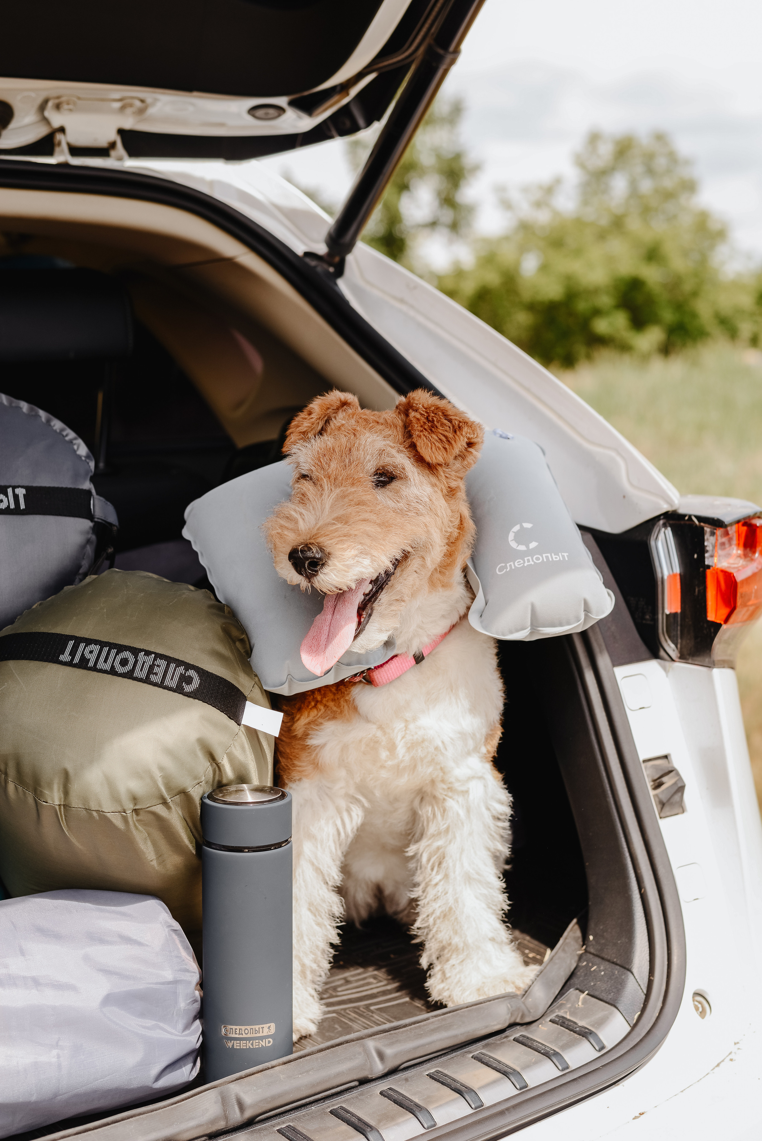 Фотограф Фирсанова Алина