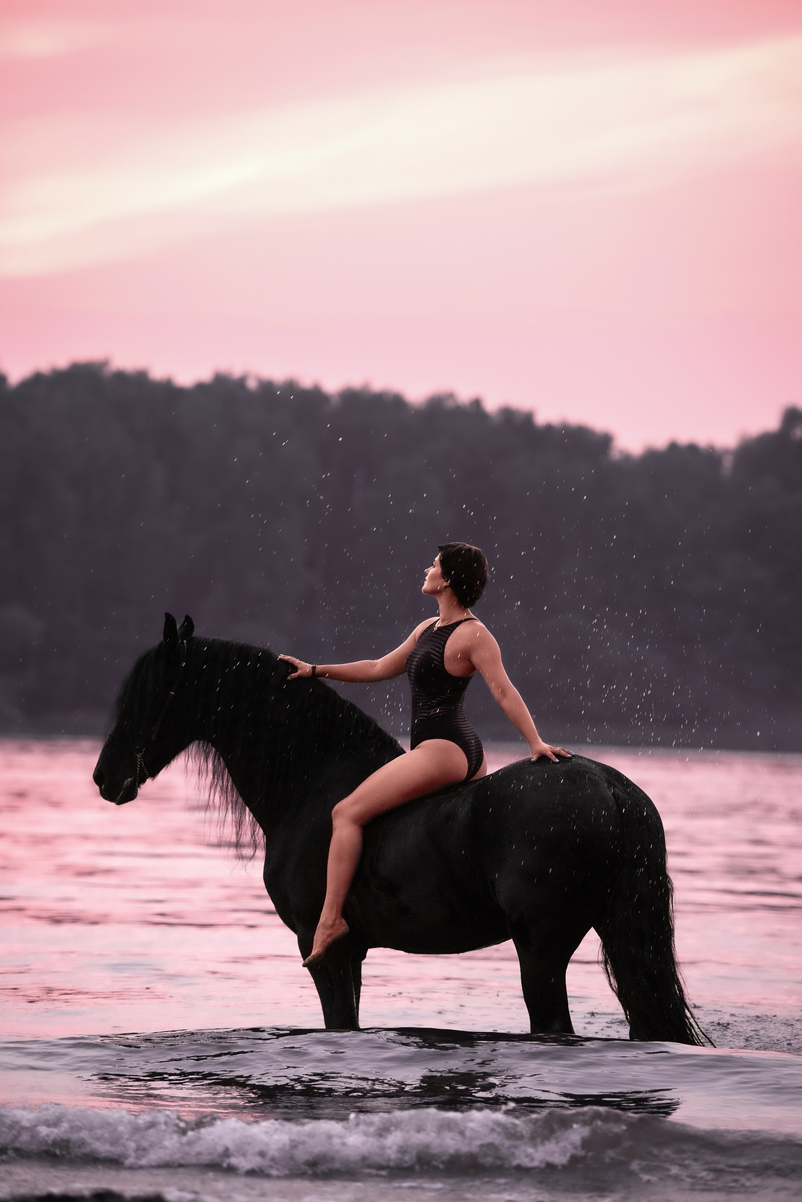 Каталог лошадей. Конный фотограф в Москве — Дарья Алексеева | Премиальные фотосессии с лошадьми