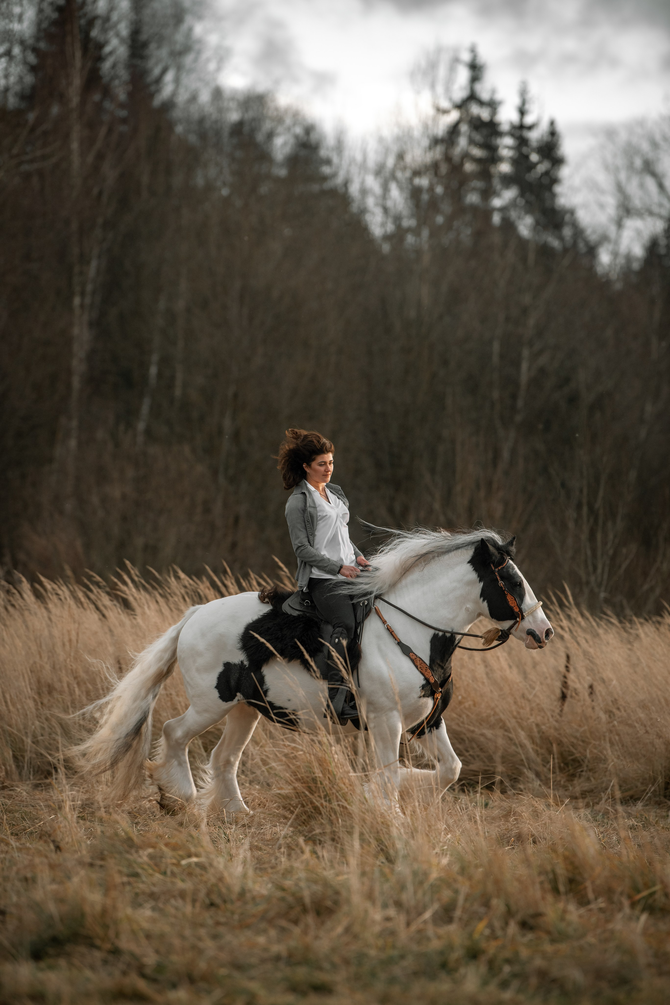 Каталог лошадей. Конный фотограф в Москве — Дарья Алексеева | Премиальные фотосессии с лошадьми