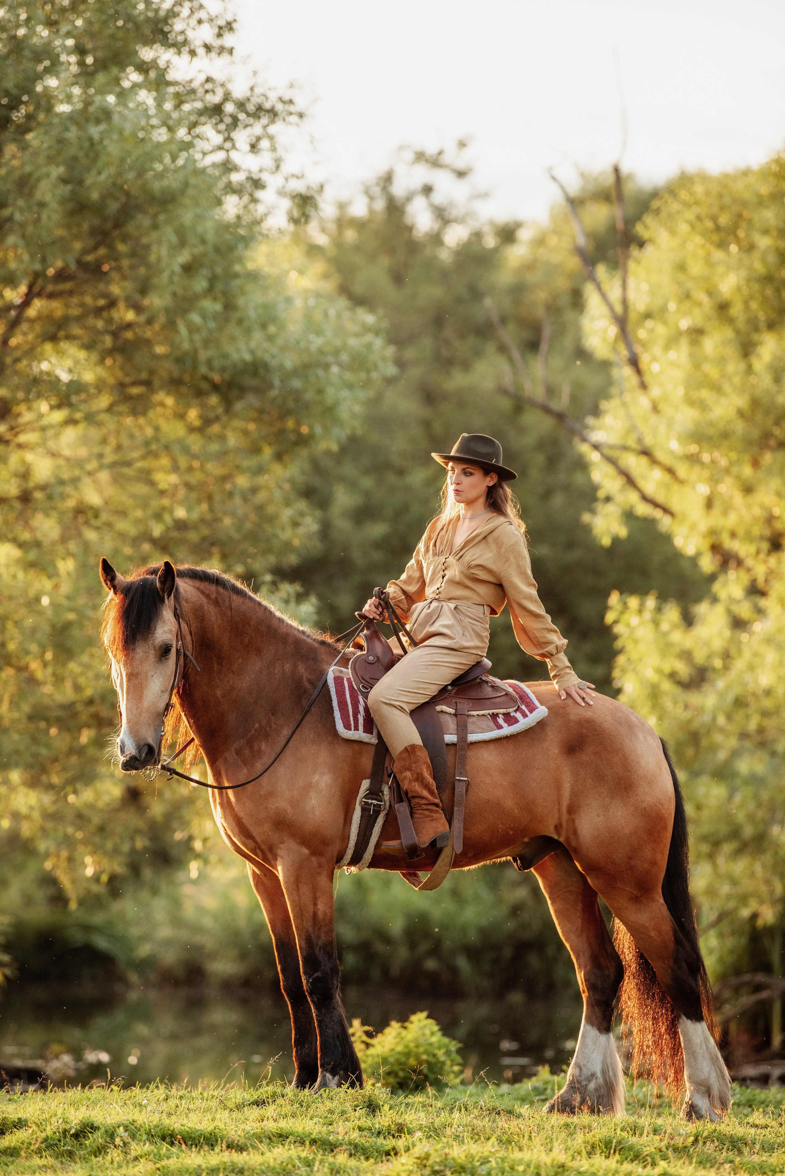 Каталог лошадей. Конный фотограф в Москве — Дарья Алексеева | Премиальные фотосессии с лошадьми