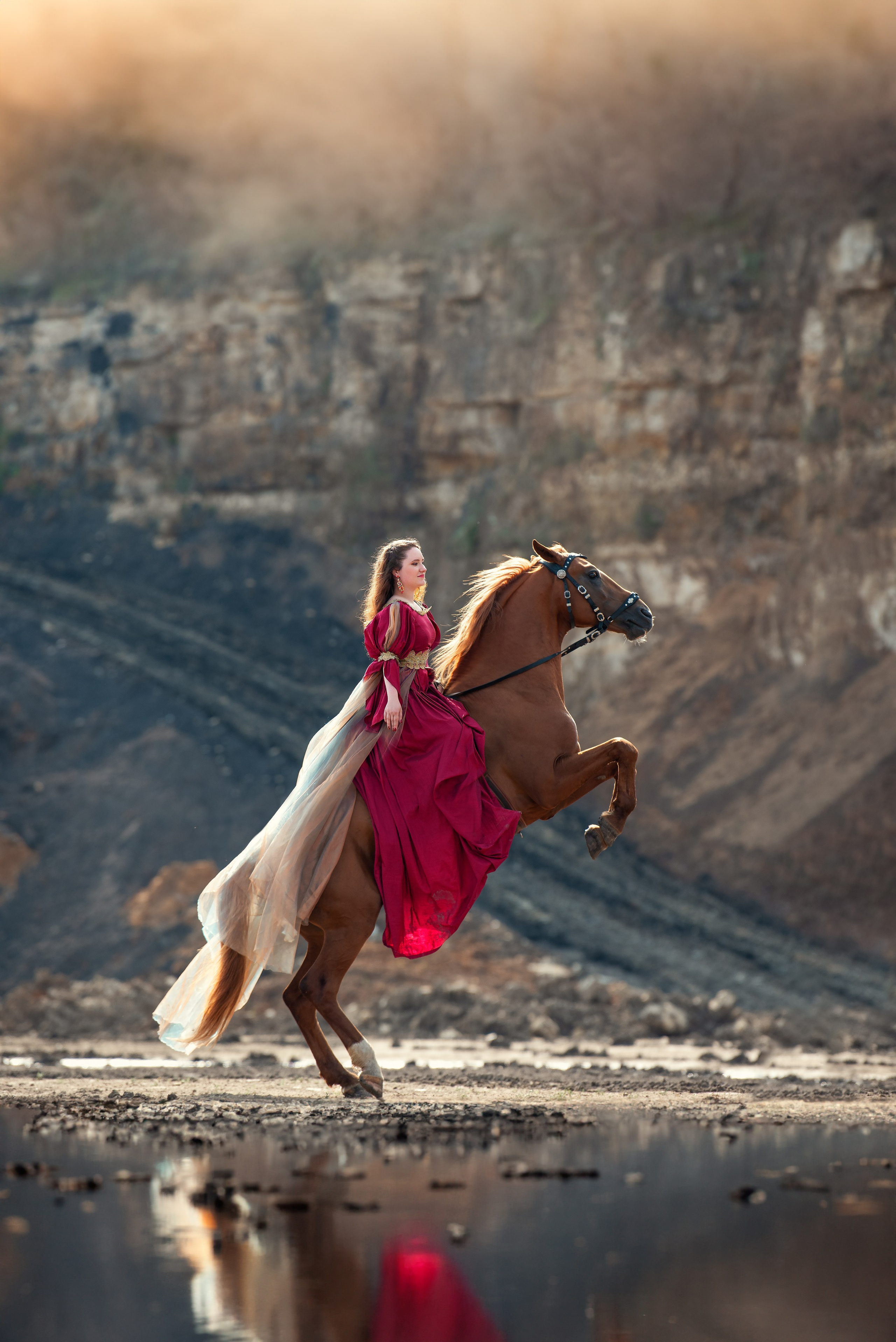 Каталог лошадей. Конный фотограф в Москве — Дарья Алексеева | Премиальные фотосессии с лошадьми