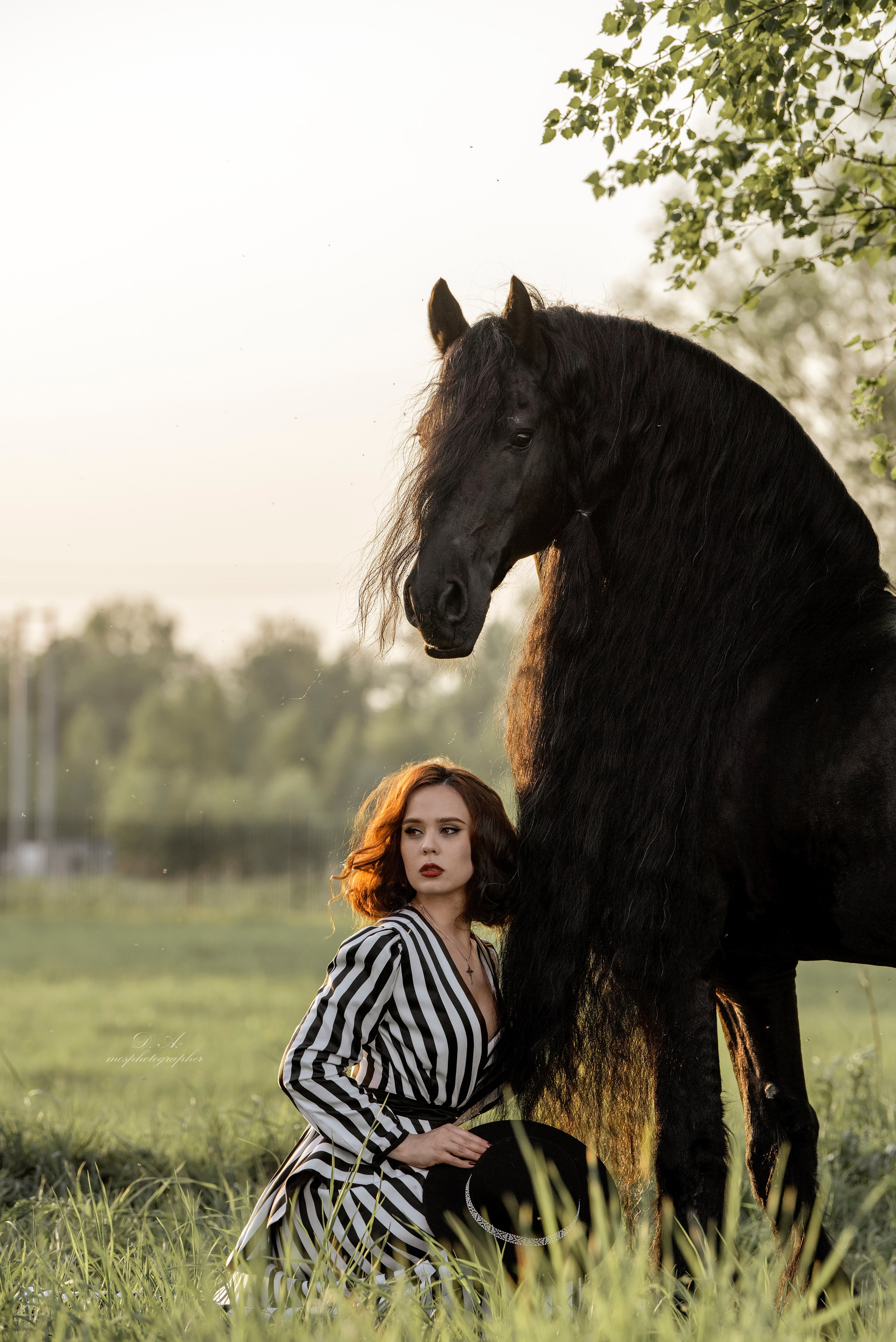 Каталог лошадей. Конный фотограф в Москве — Дарья Алексеева | Премиальные фотосессии с лошадьми