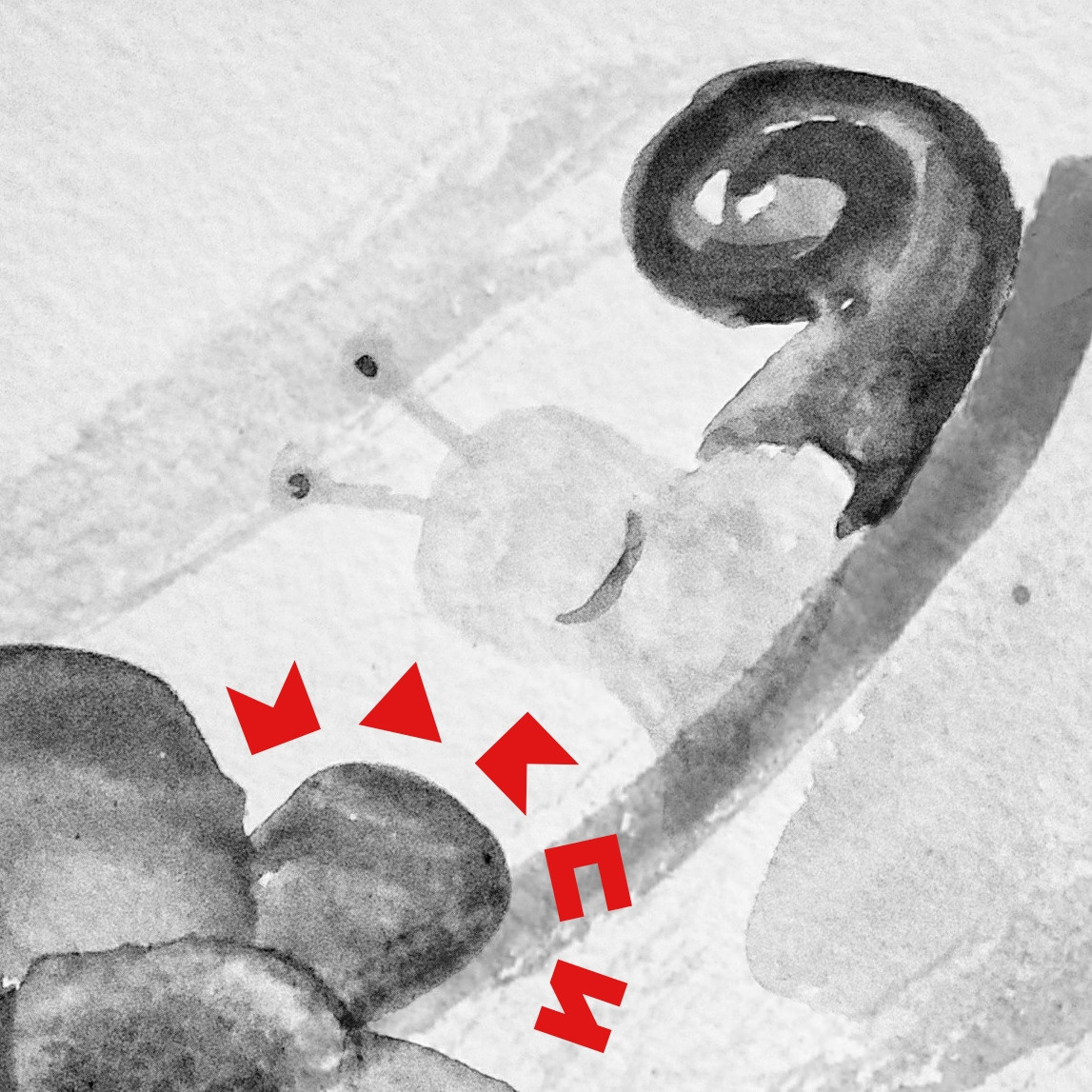 Свадьба. Frantova