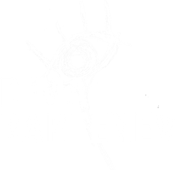 dimabartenev.com