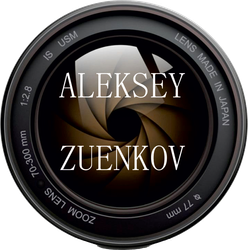 alekseyzuenkov.ru