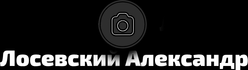 losevsky.com