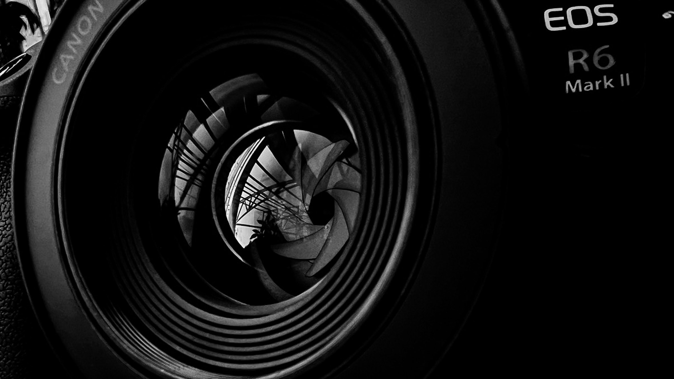 Виктория Ахмылова. Фотограф в Москве