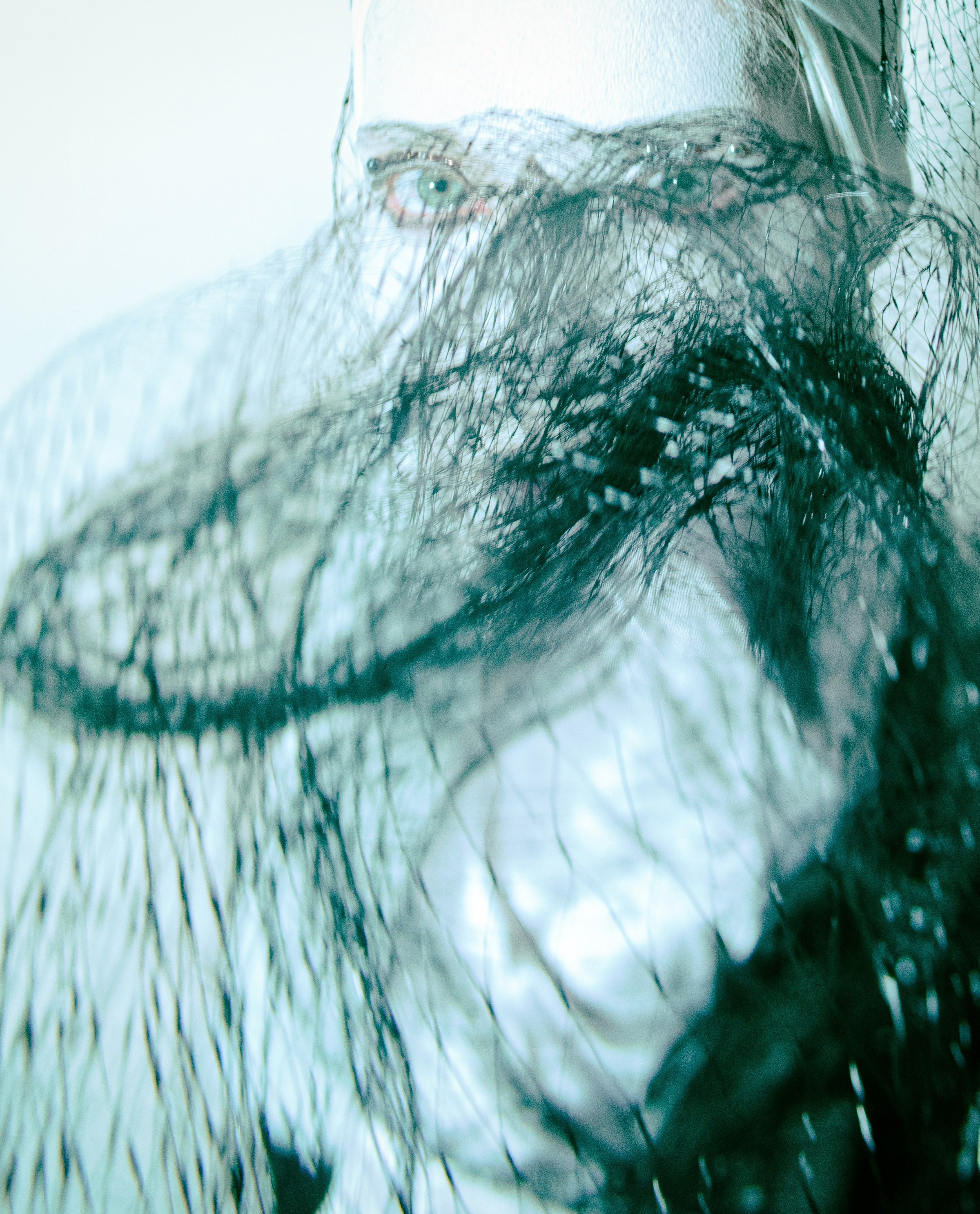 METAMORPHOSES. Yulia Yurchevskaya | Art Director & Visual Visionary