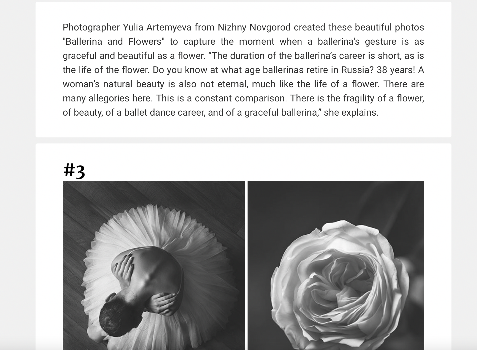 Press — Bored panda