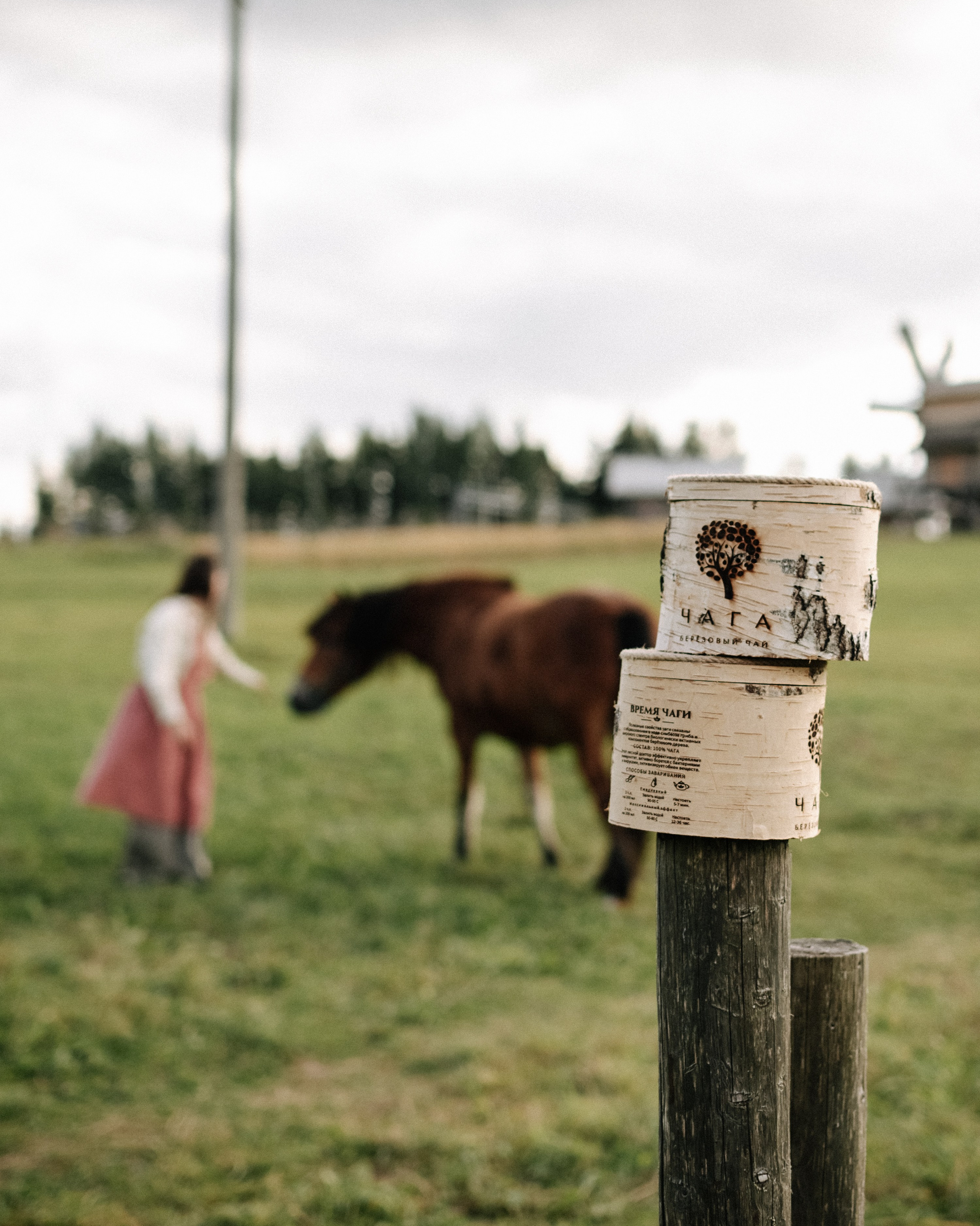 Услуги. ФОТОГРАФ / КОНТЕНТ-МЕЙКЕР Диана Абрамович