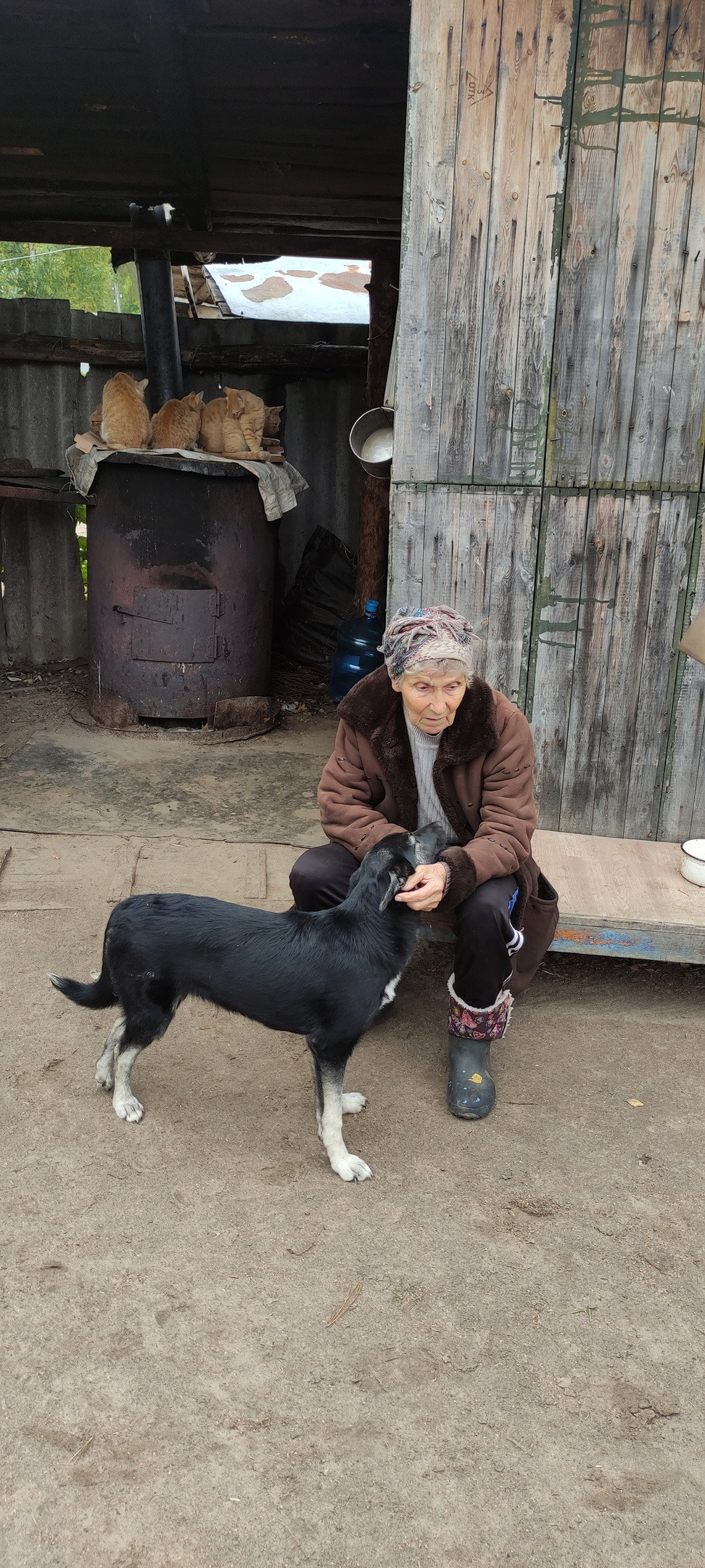 ПОМОЩЬ БАБЕ ШУРЕ. НРОО КЦ "Собаковод"