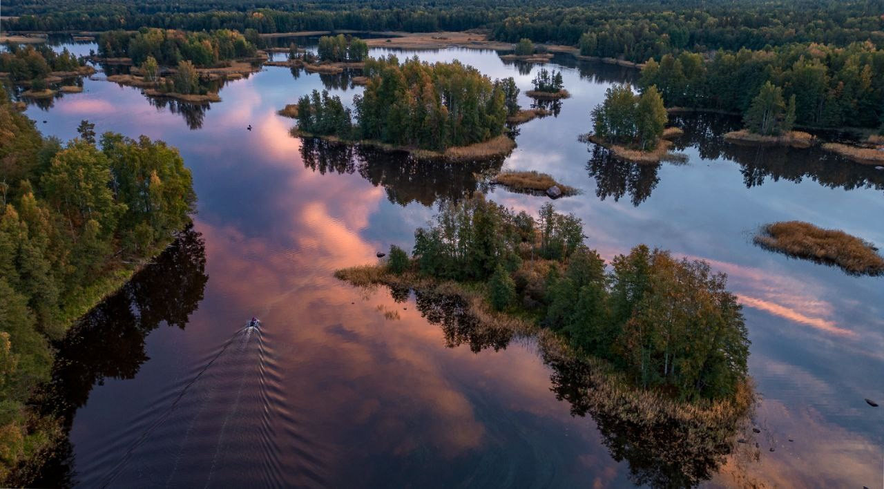 Осень на Карельском перешейке. Сентябрь