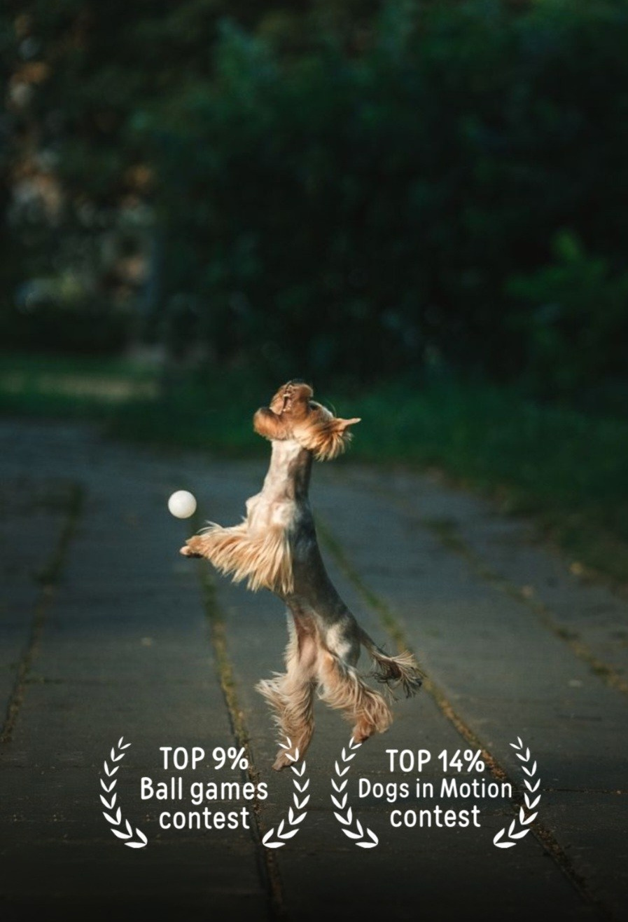 35awards. Фотограф-анималист в Москве Анжелика Бутько