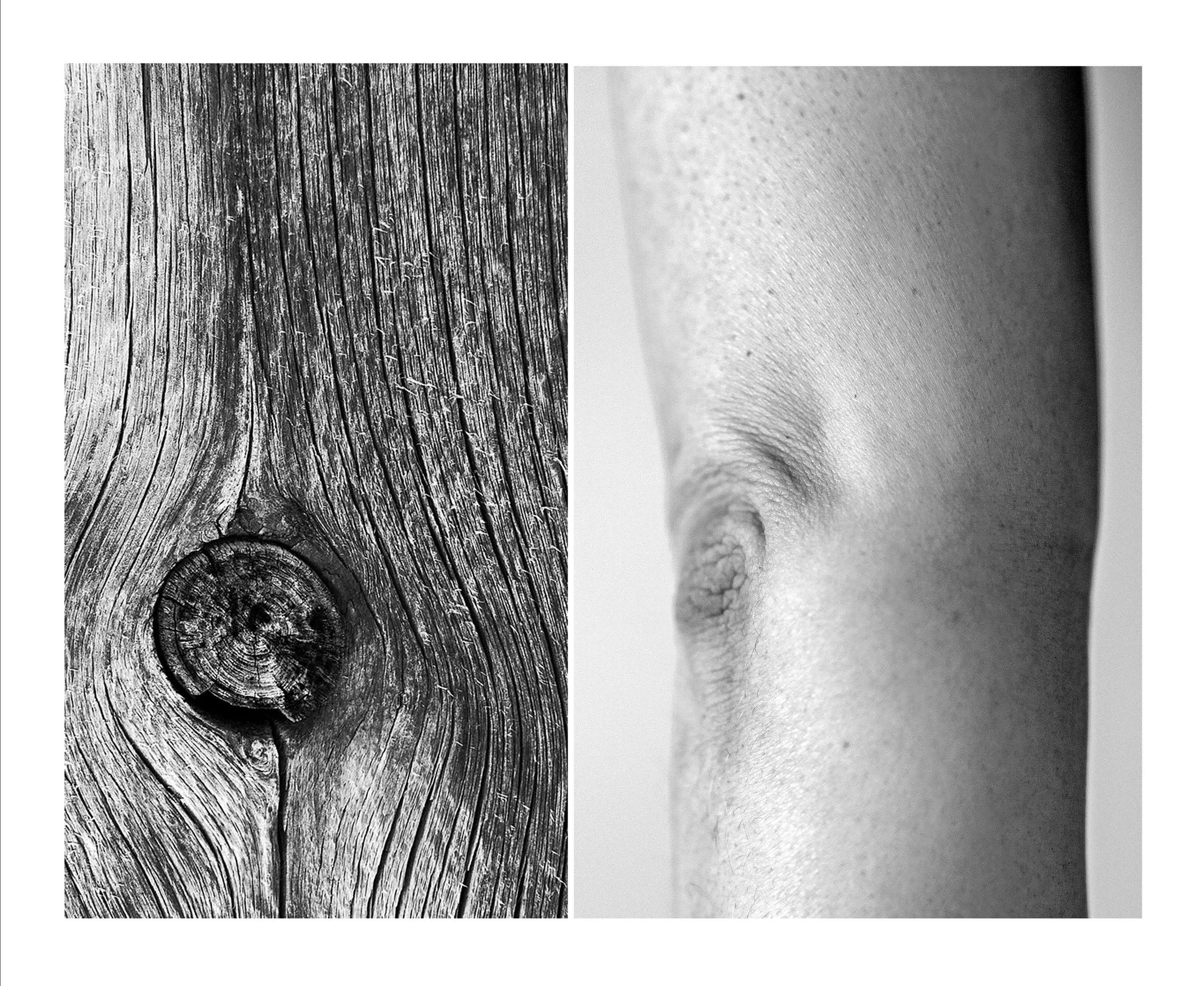 «Природа тела». Наталья Чернобровкина — междисциплинарный художник