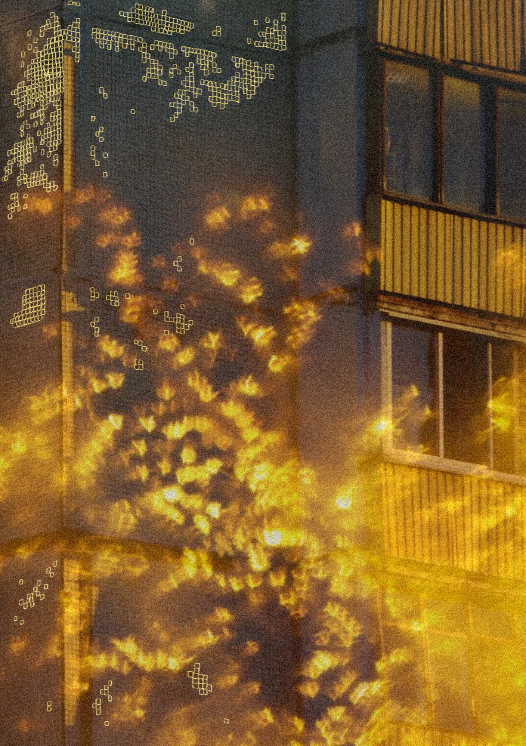 Shop. Мультидисциплинарная художница