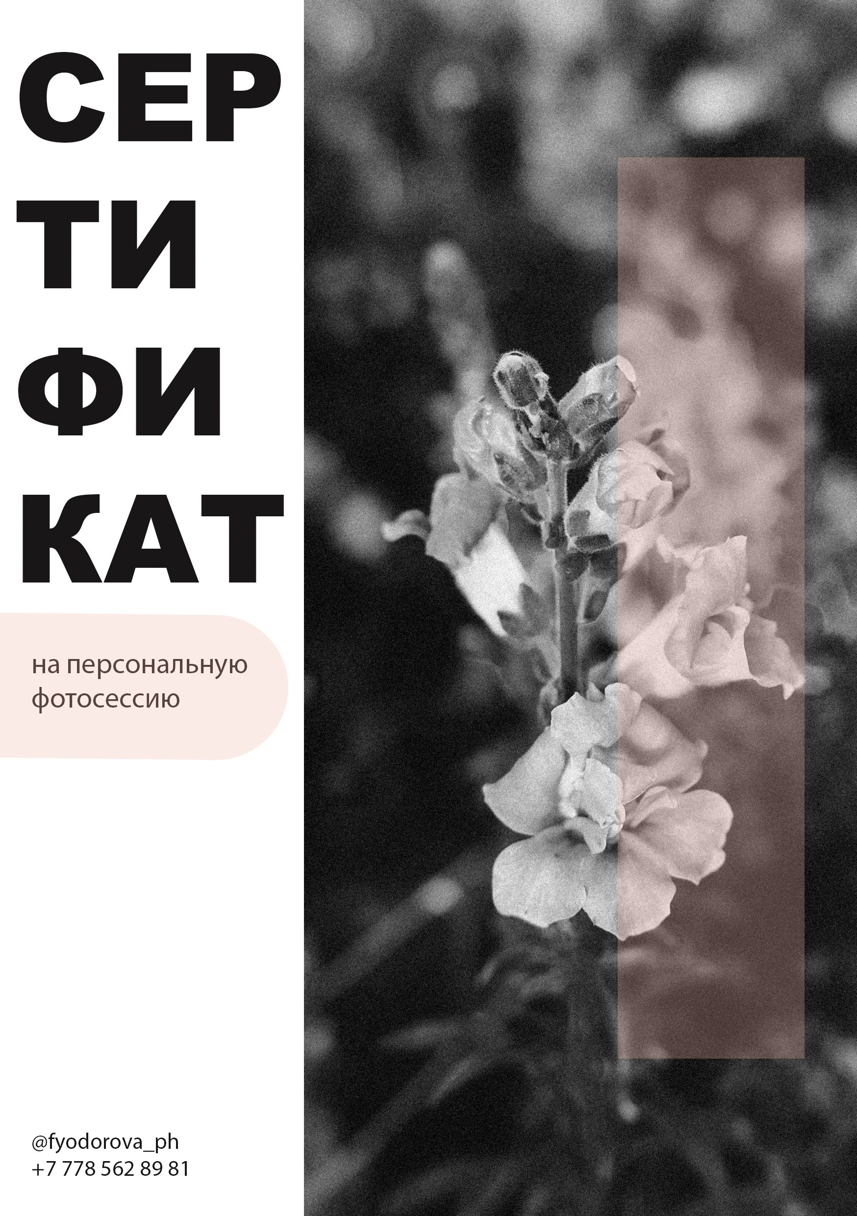 Сертификат. Репортажный и портретный фотограф в Алматы — Дарья Фёдорова