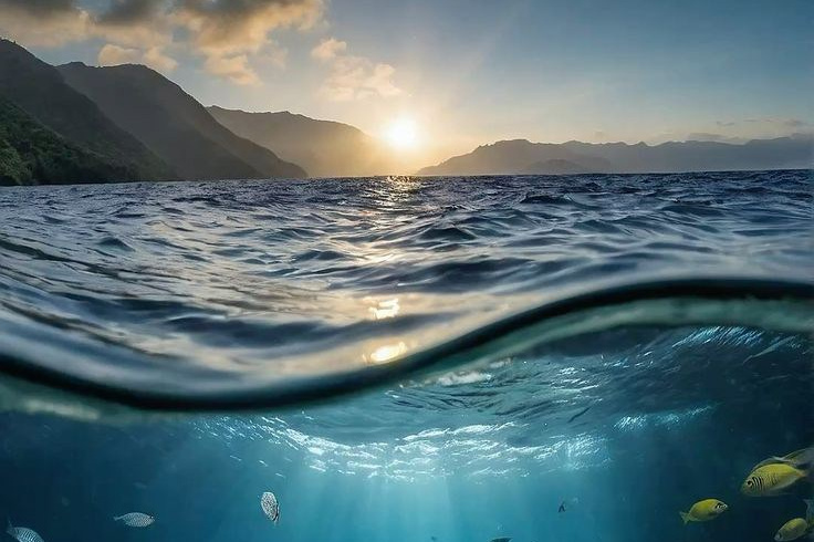 Прайс. Психолог Светлана Анисимова