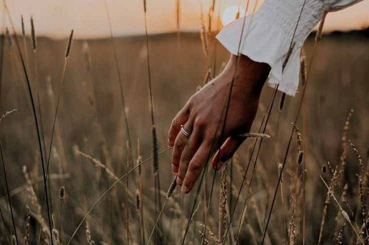 Консультация по фото и видео съемки для ЭКСПЕРТОВ. Семейный и детский фотограф в Хабаровске Ковалева Таисия