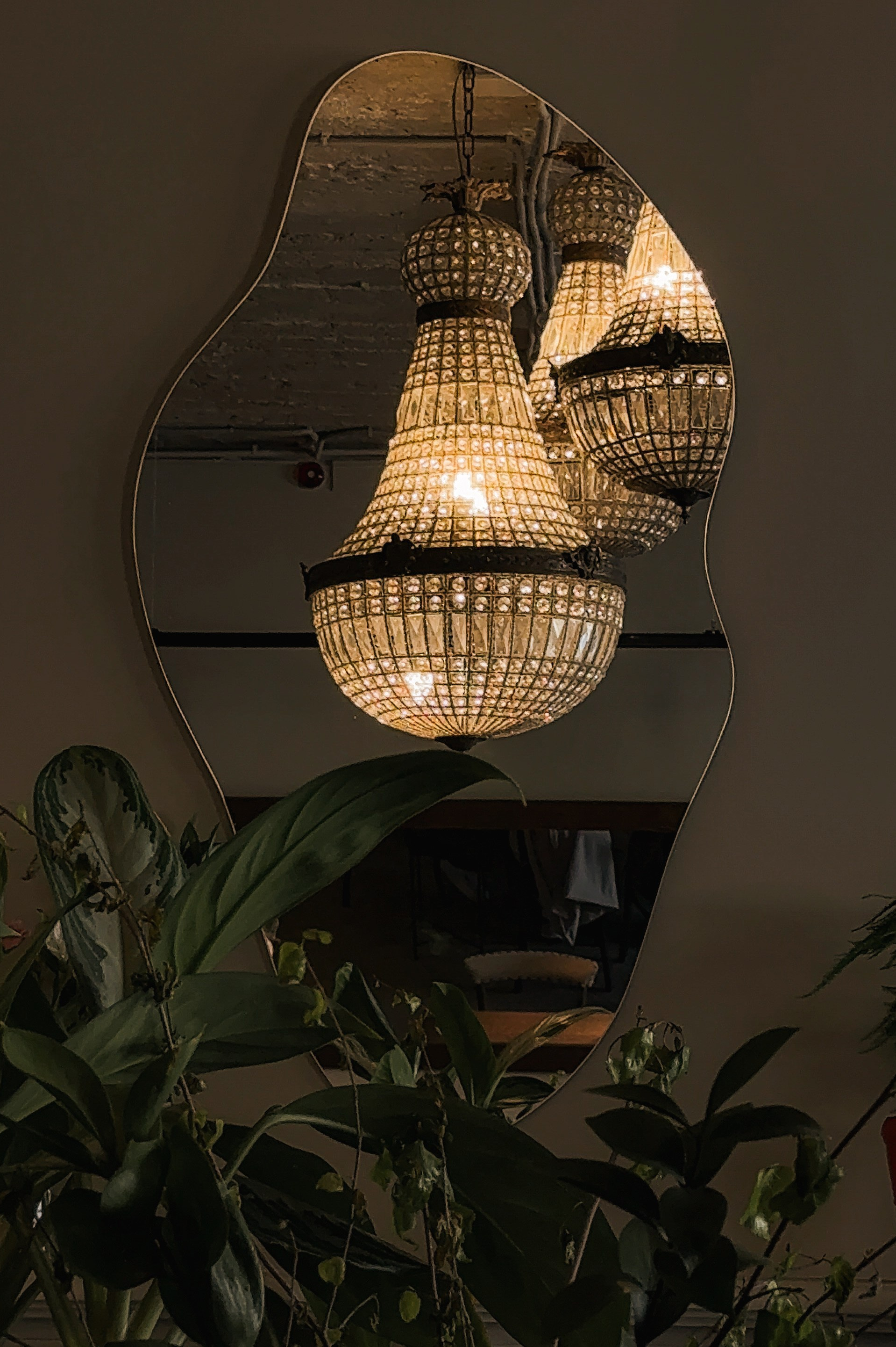 Консультации