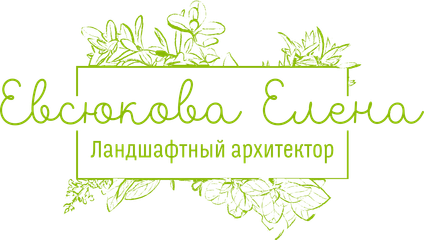 skorovesna.ru
