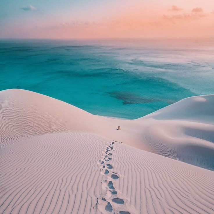 Фототур на остров Сокотра. Детский и семейный фотограф в Москве Катерина Орлова