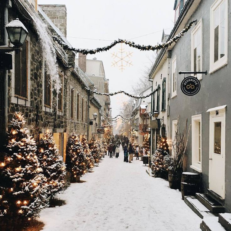 Что снимать и как снимать. В этом уроке ты научишься видеть и делать красивые видео