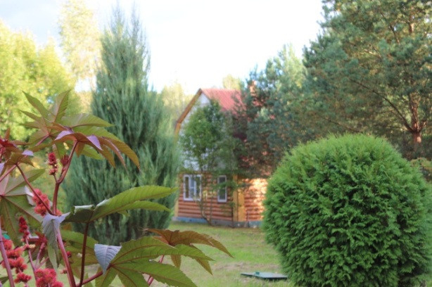 Ландшафт Шалово-парк Серебряные ключи