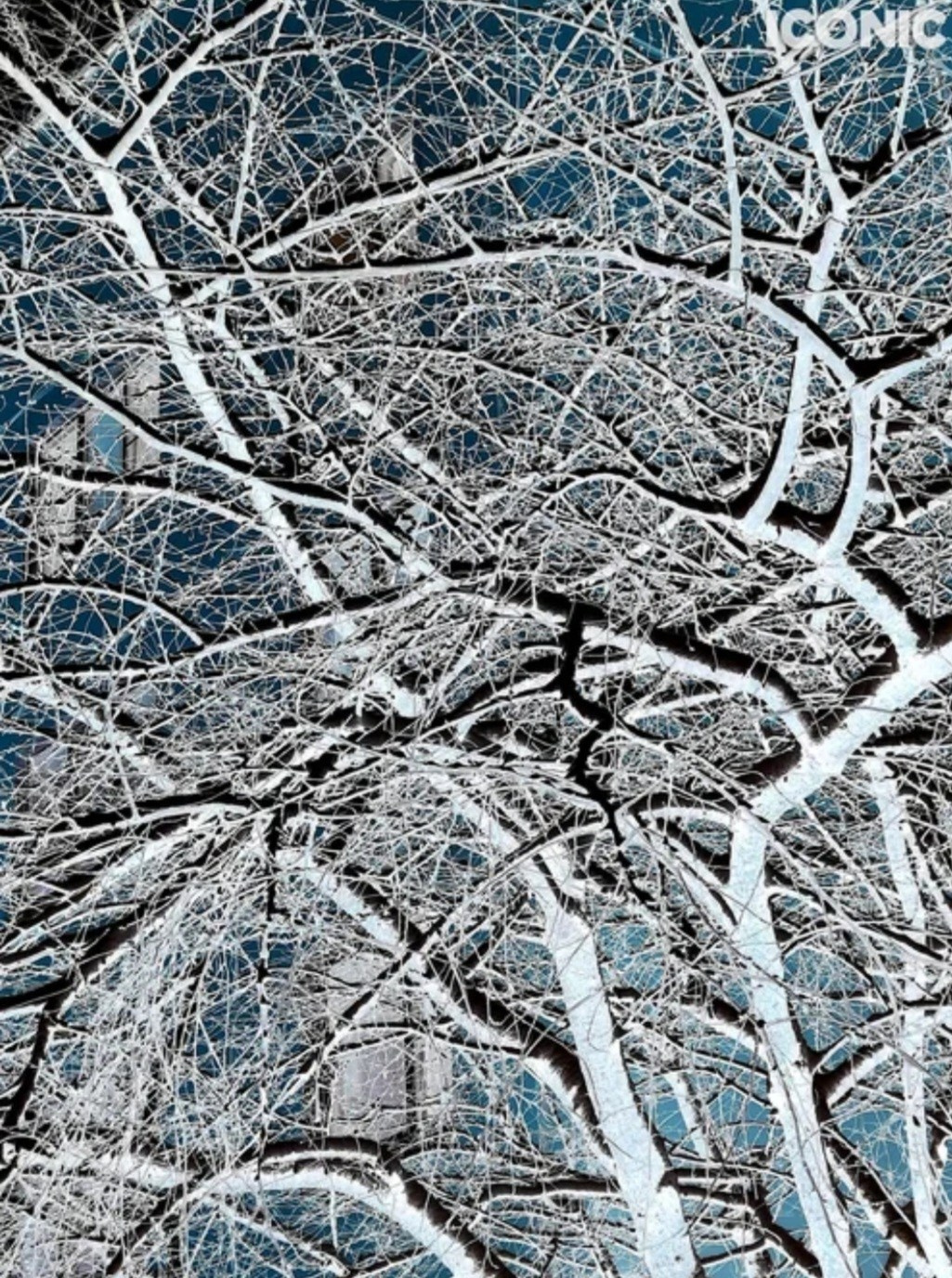 Публикации в журналах. Портретный фотограф в Москве Анна Фаустова