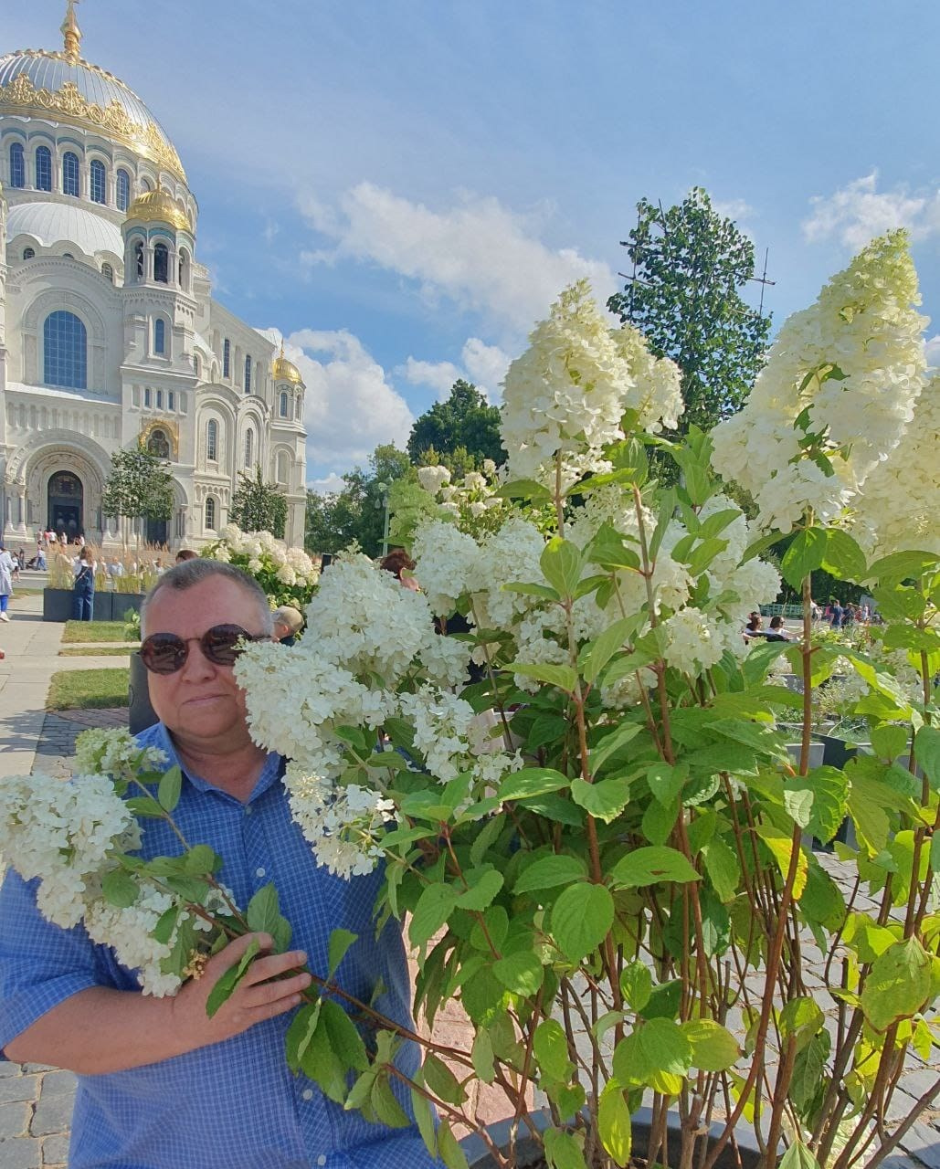 Наша команда. Золотое яблочко