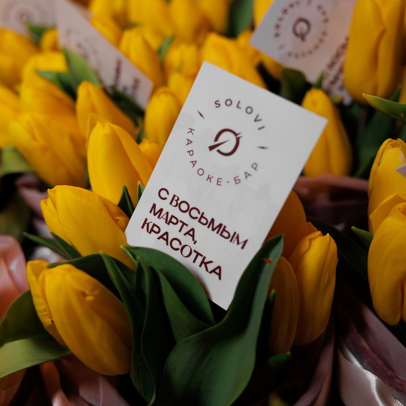 SOLOVI — 8 МАРТА. СВОИ. ФОТООТЧЕТЫ-СОБЫТИЯ-МЕСТА