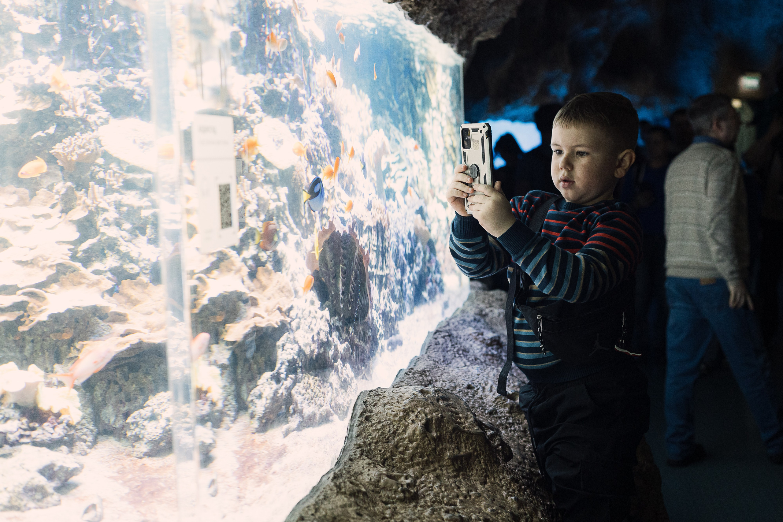Как мы ездили в океанариум. Галина Шарапова Детский и семейный фотограф Москва