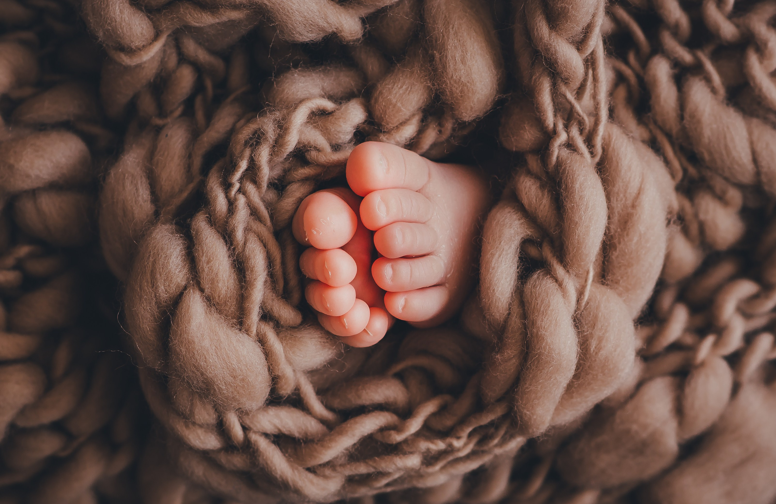 Ребенок фото. Фотосессия новорожденных в Барнауле.