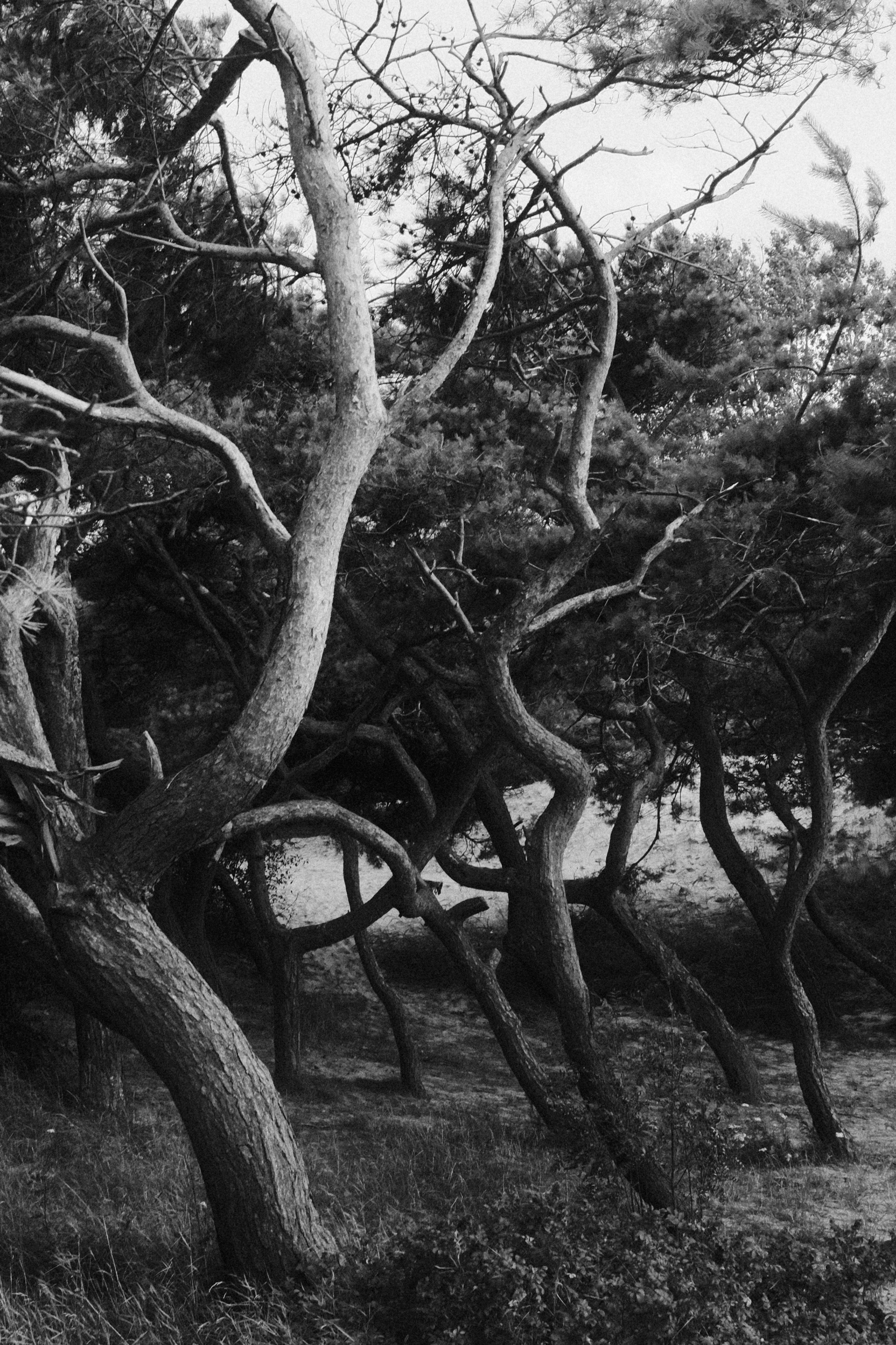 Рецепт, как вернуться к правильным и ясным мыслям. Семейная фотография, Анастасия Руднева, Москва