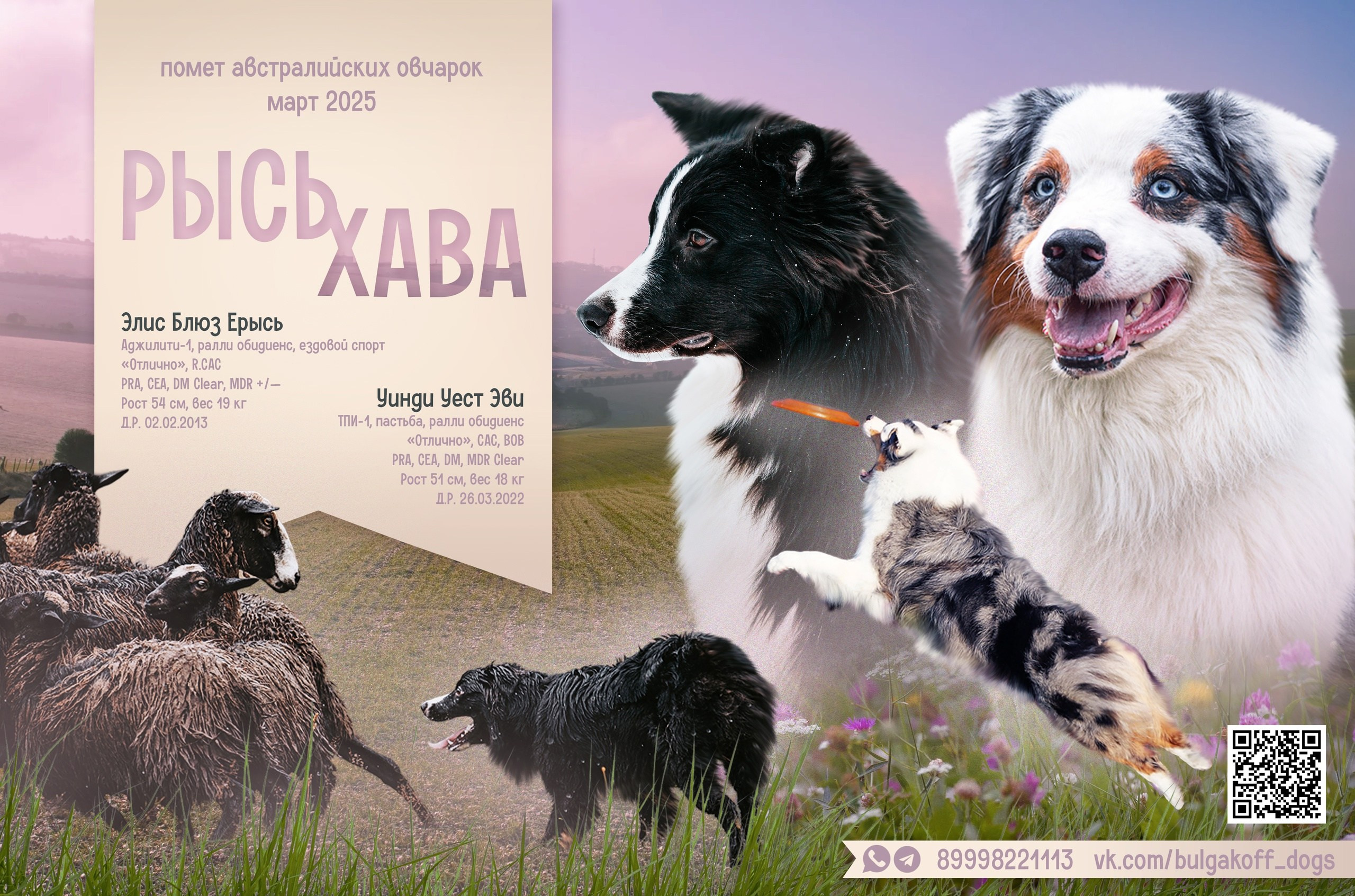 Выпускники. BLGKV питомник собак