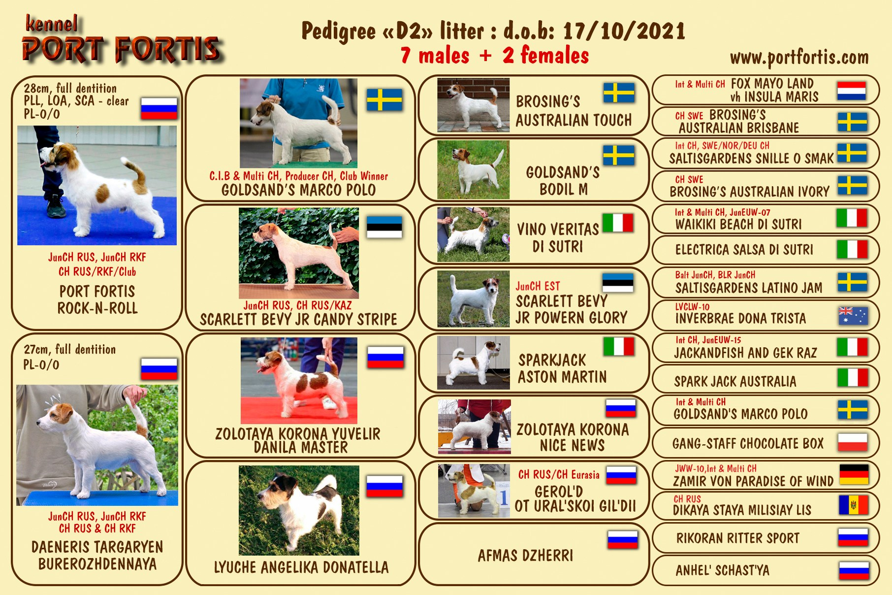2026 Litter C (K). Щенки джек рассел терьера, питомник РКФ, питомник джек рассел терьеров, питомник Порт Фортис, kennel PORT FORTIS