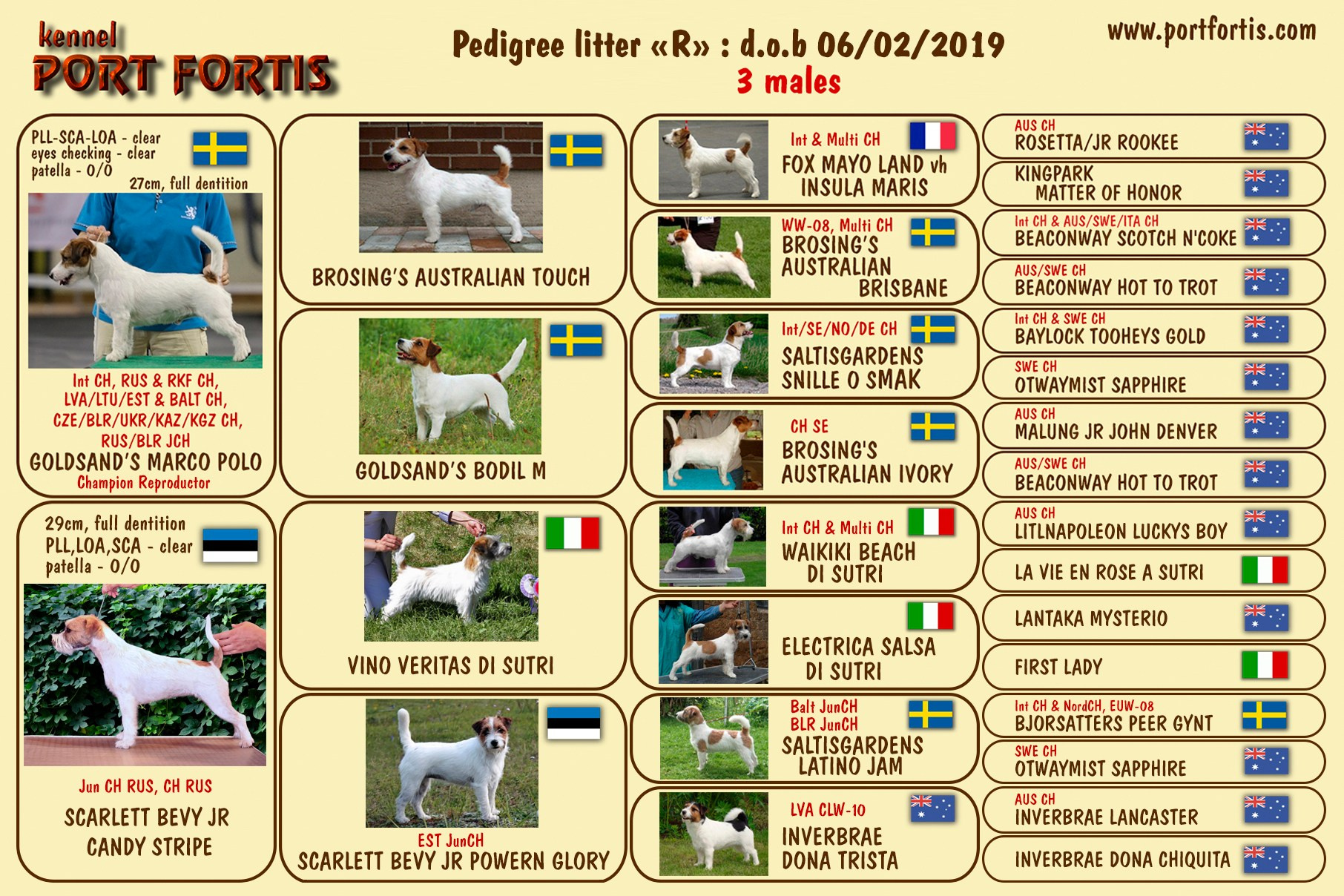 Port Fortis Rock-N-Roll