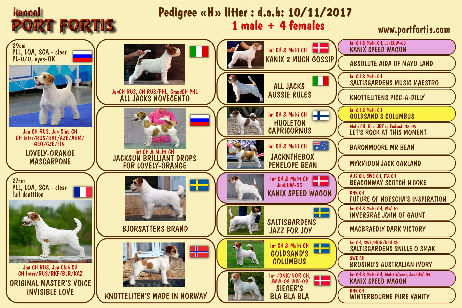 Port Fortis Happy Peppy