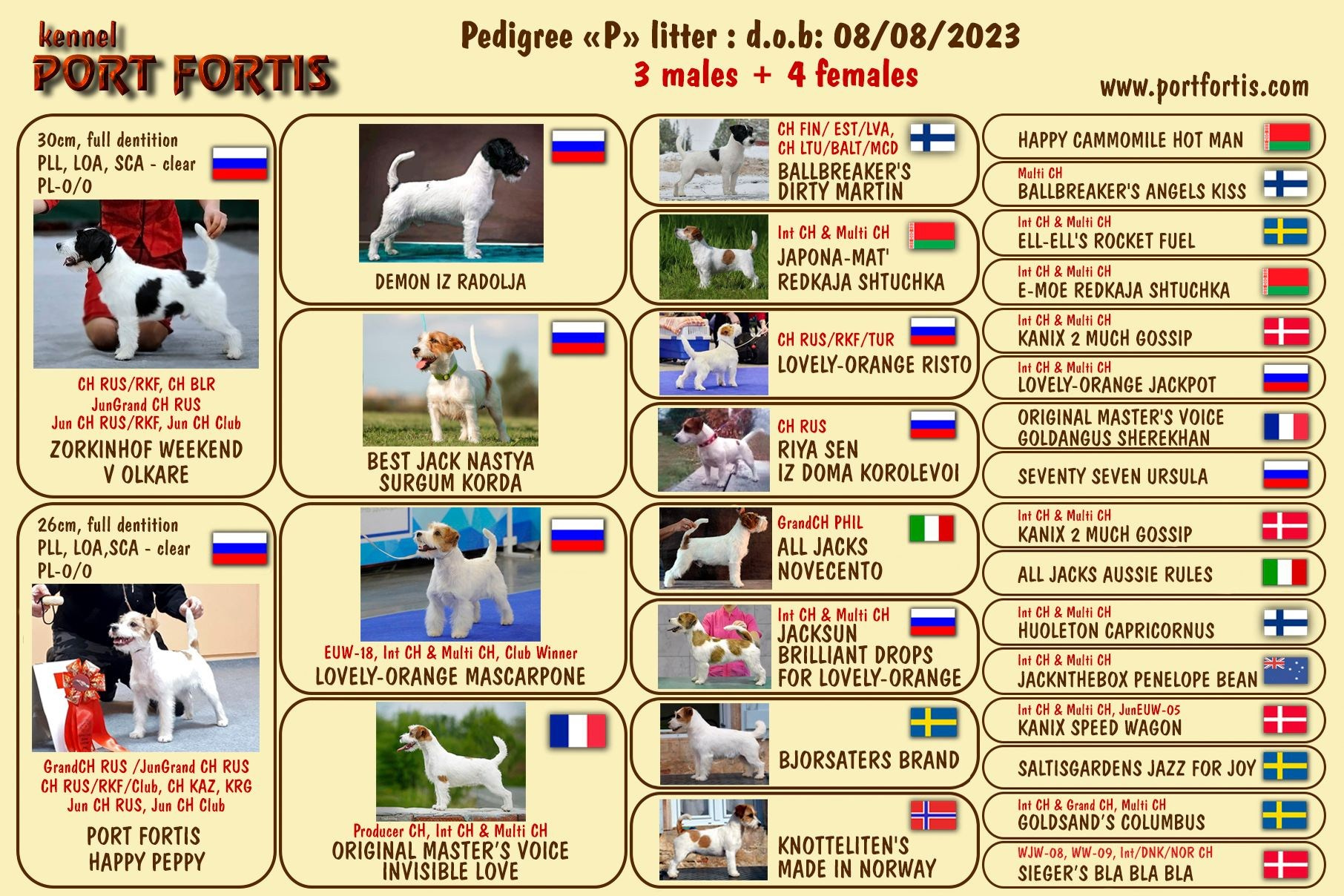 Port Fortis Polka Dot