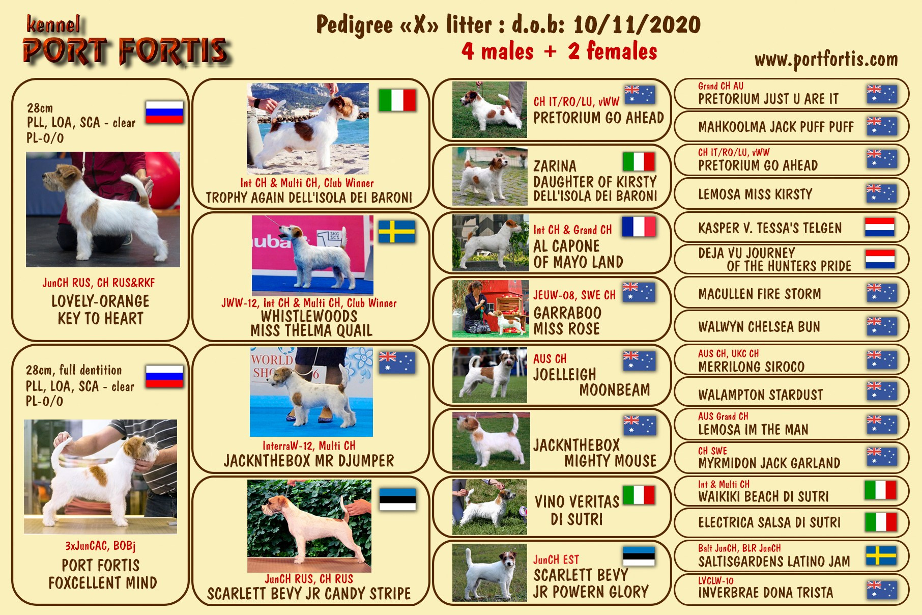 Port Fortis Xtreme Beauty