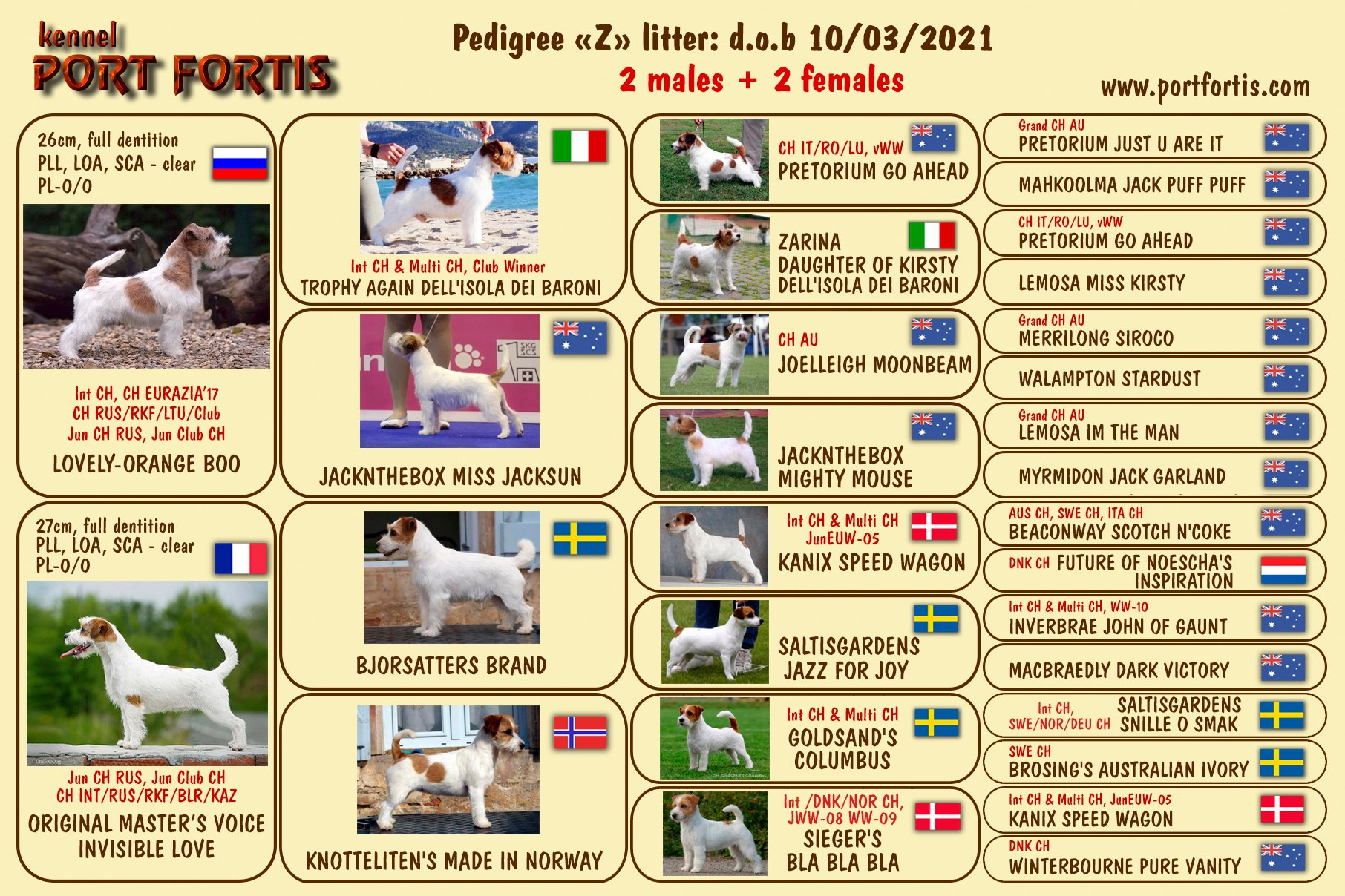 Port Fortis Zoom Zoom